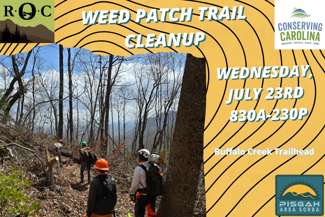 7/23/25 Weed Patch Trail Cleanup