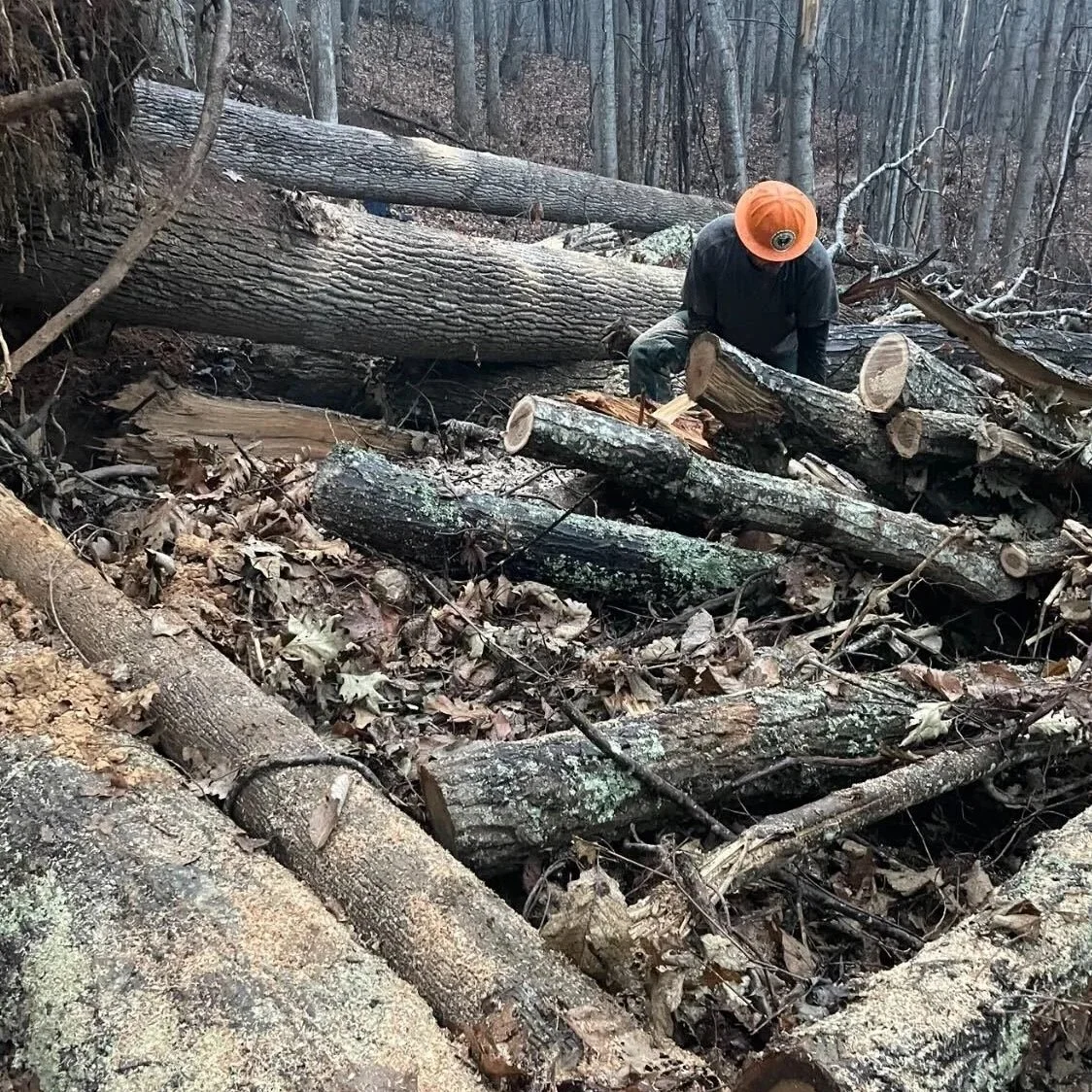 Rebuilding Pisgah: Disaster Relief Funding and New Leadership to Tackle Hurricane Helene Recovery
