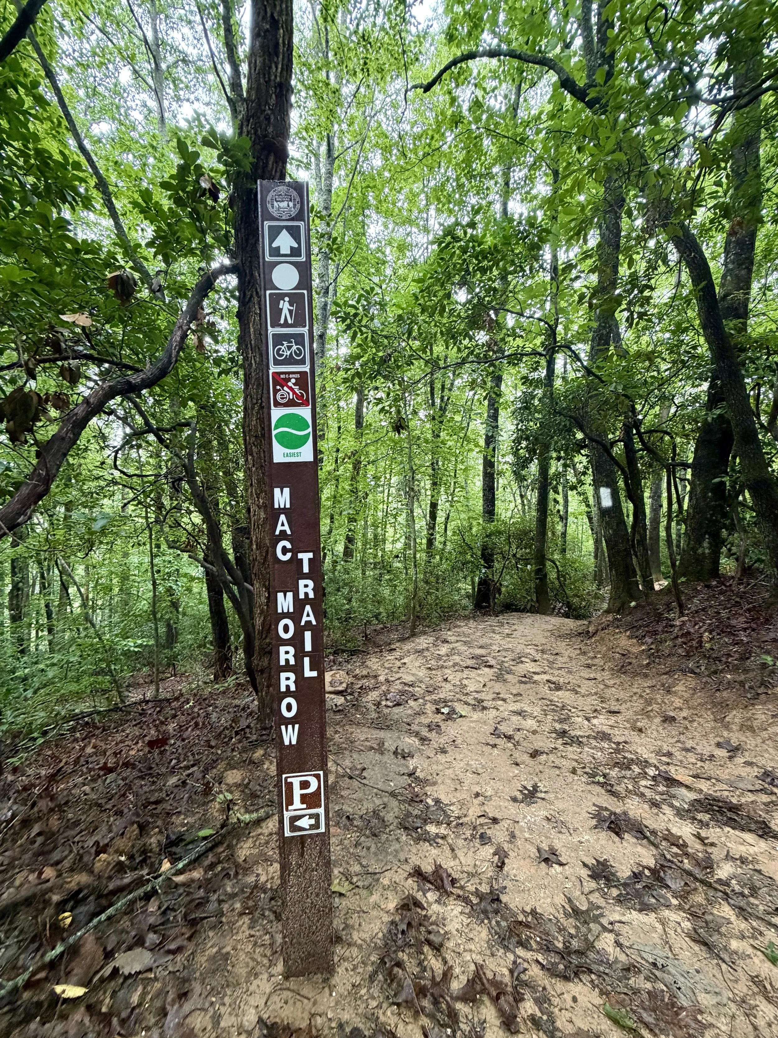 The Man on the Mountain:&nbsp;How Mac Morrow Helped Shape Bracken Preserve