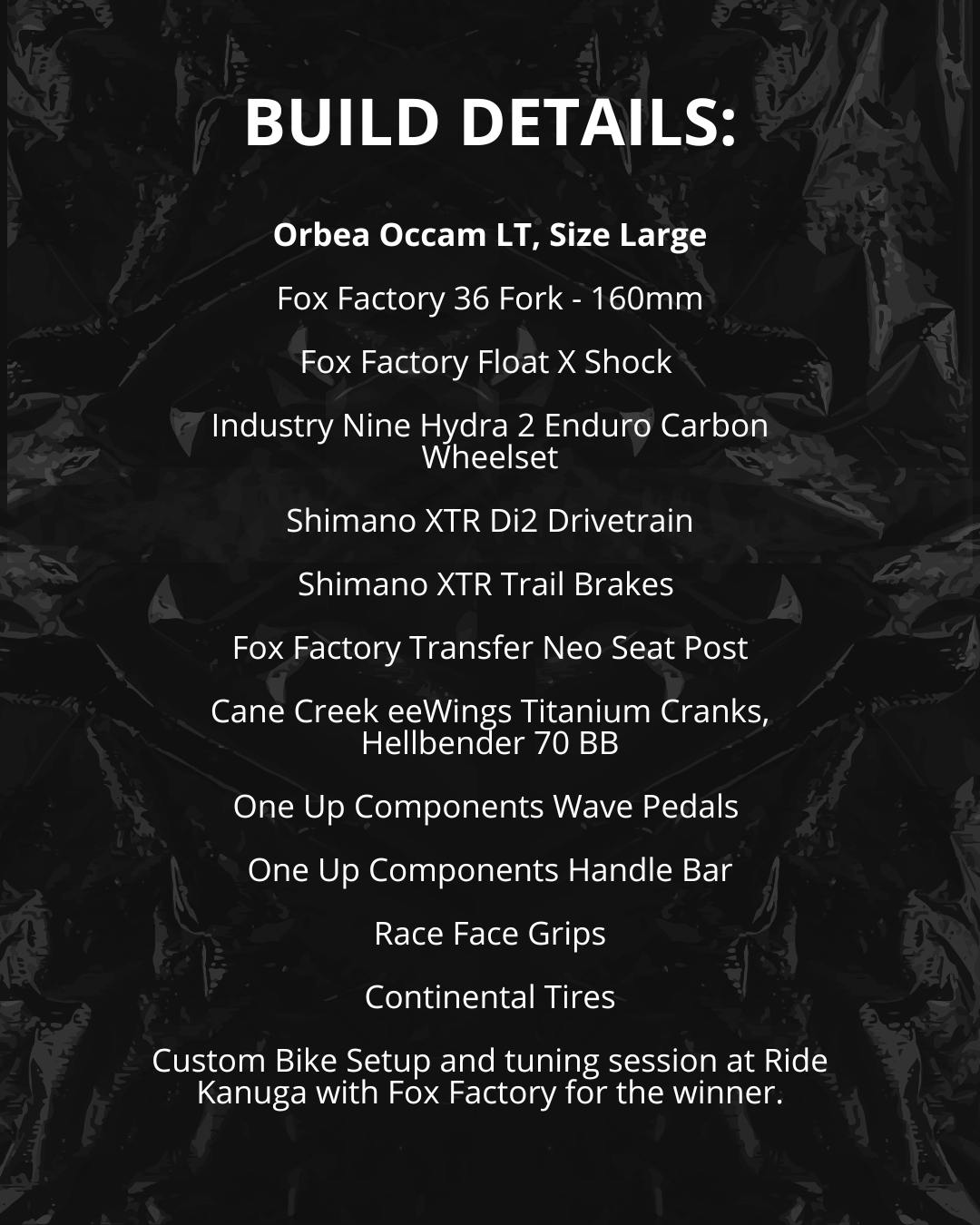 PAS Bike Giveaway Posts (2).png