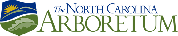 NCA-logo-sml-copy-3-color.png