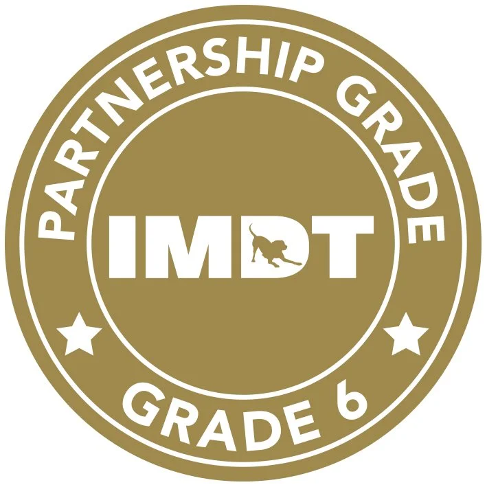 Gold-colored badge with white uppercase text that reads 'Partnership Grade 6' around the outer edge, with a smaller inner circle containing the acronym 'IMPACT' in white uppercase letters. The letter 'A' in 'IMPACT' is stylized as a silhouette of a lion.