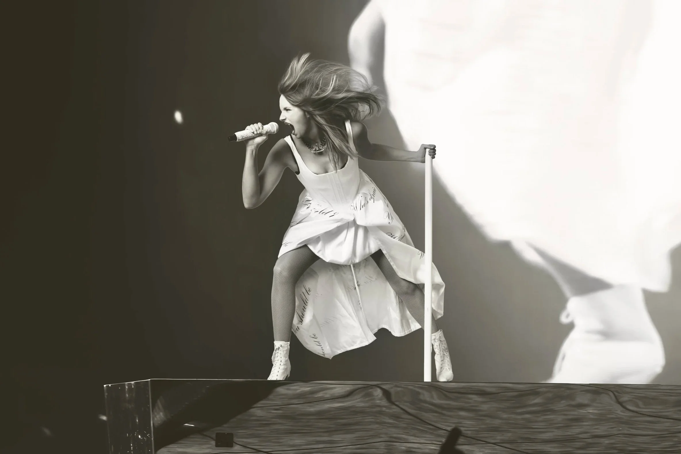 The Unofficial Eras Tour (Brasília's Version)