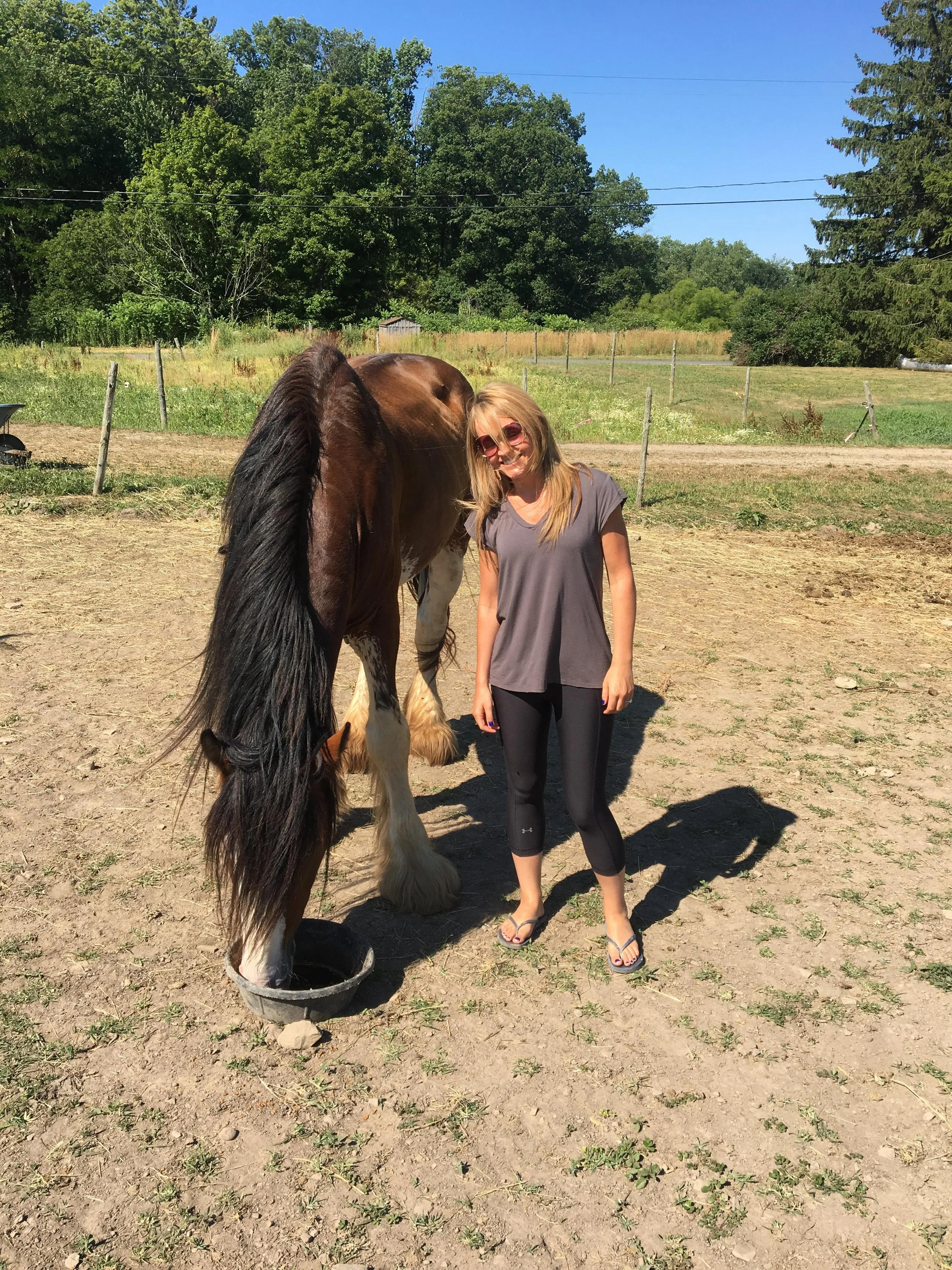 A woman stands next to a large brown and white horse, both with their heads bent down. The woman is smiling, wearing sunglasses, a gray t-shirt, black leggings, and flip-flops. The horse is eating from a black container on the ground. They are outsid