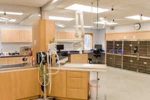 Our Clinic — South Coastal Animal Health