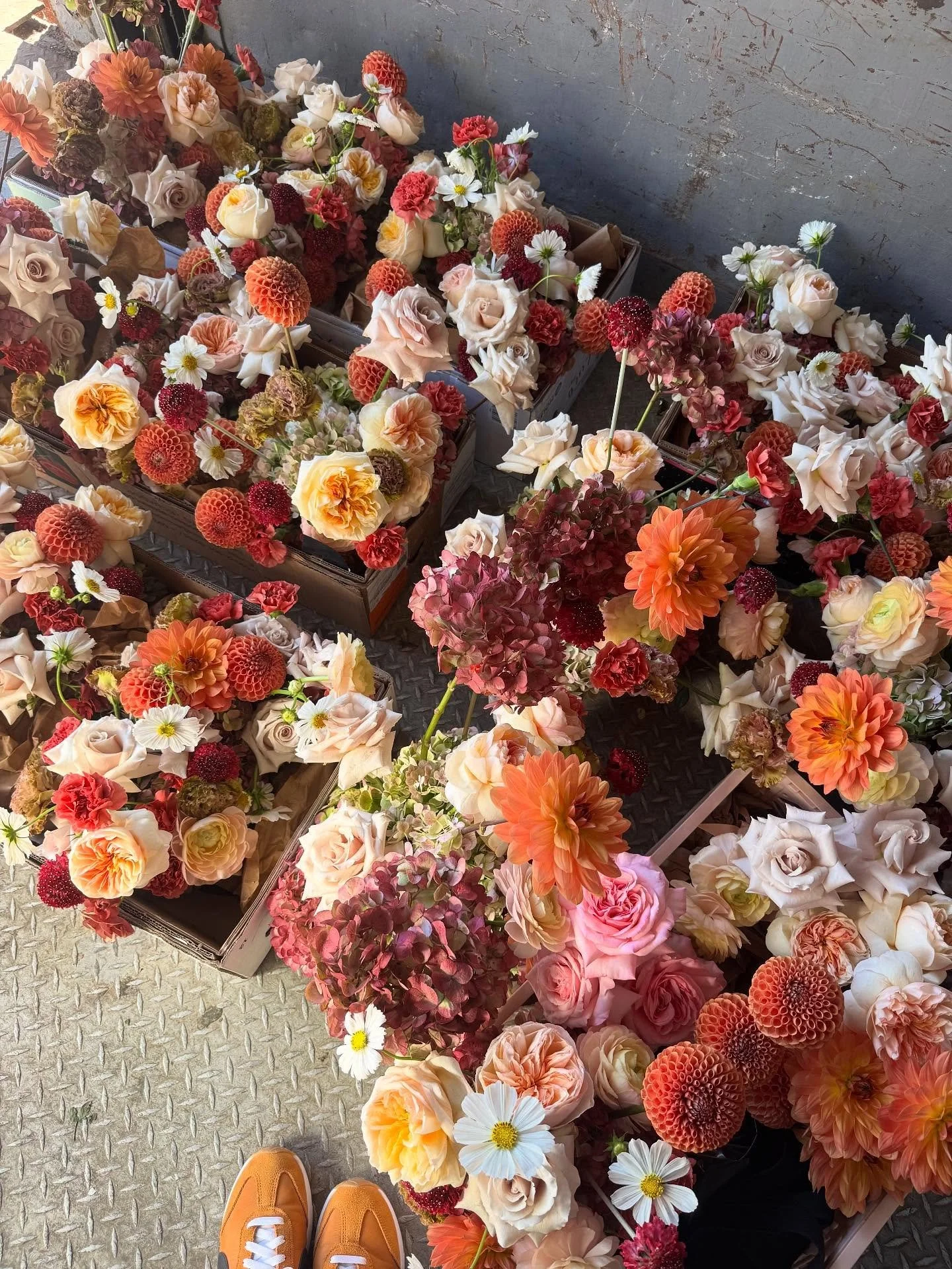 Happy 1st day of fall! 🍂🧡