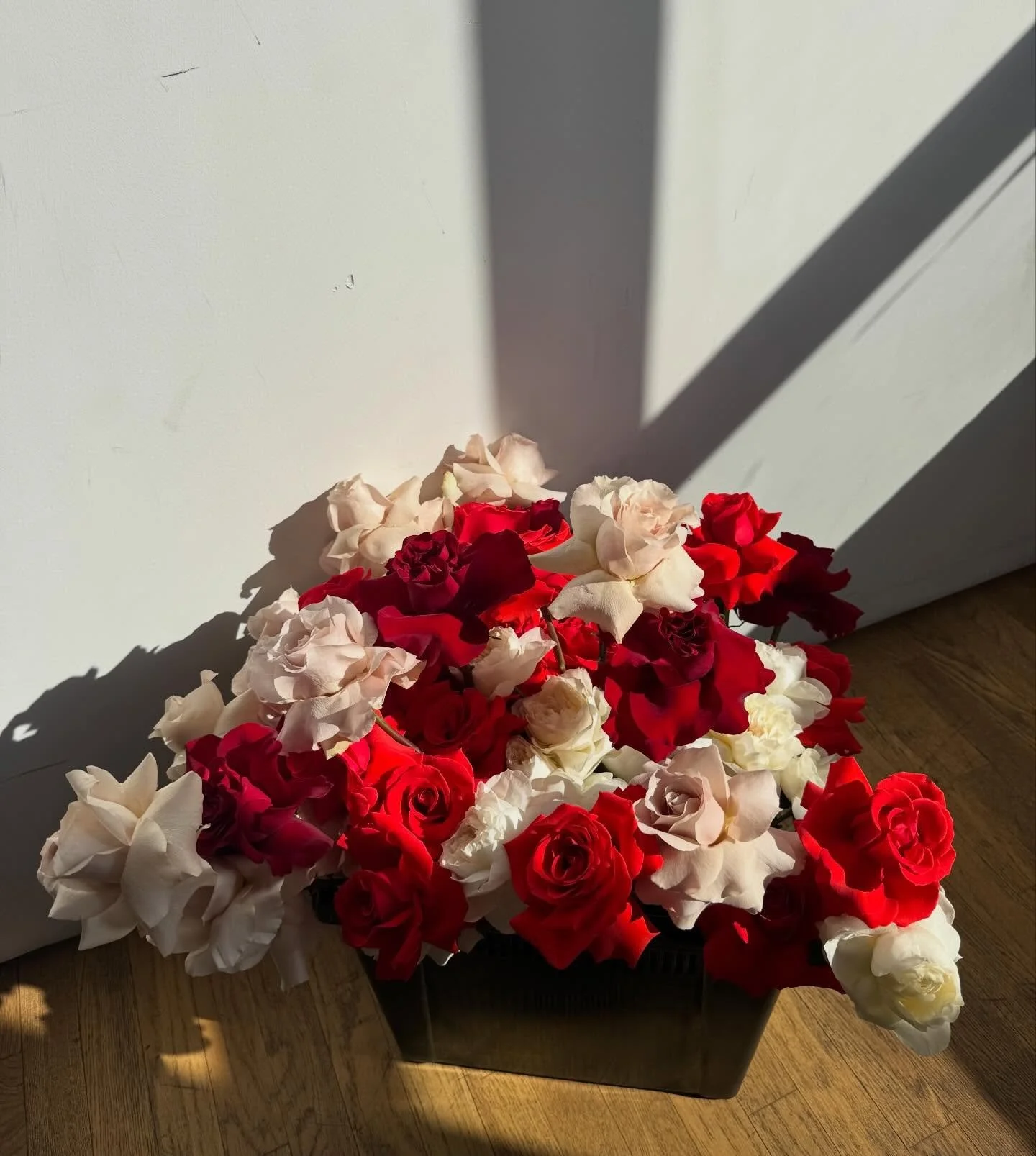 Today is the last day to place an order for Valentines florals 💘

Send us a DM or email to order yours 💌 hello@lulofloral.com