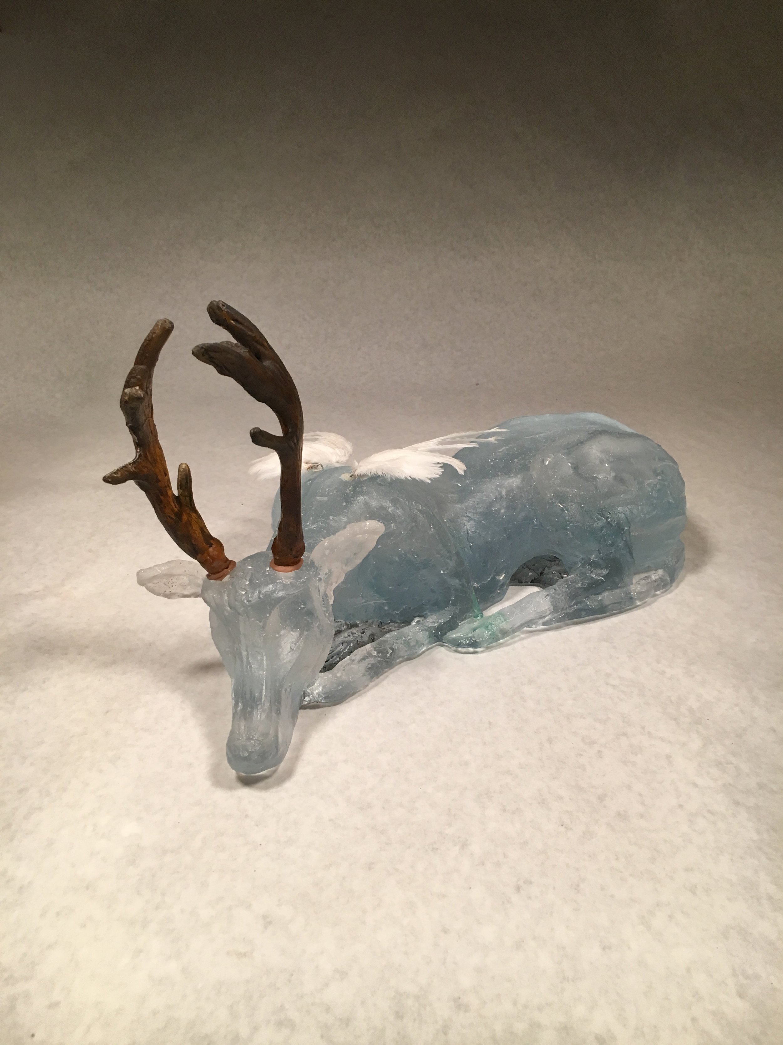 Finding My Way
Cast glass, pigment, taxidermy
17x9x9"
2015