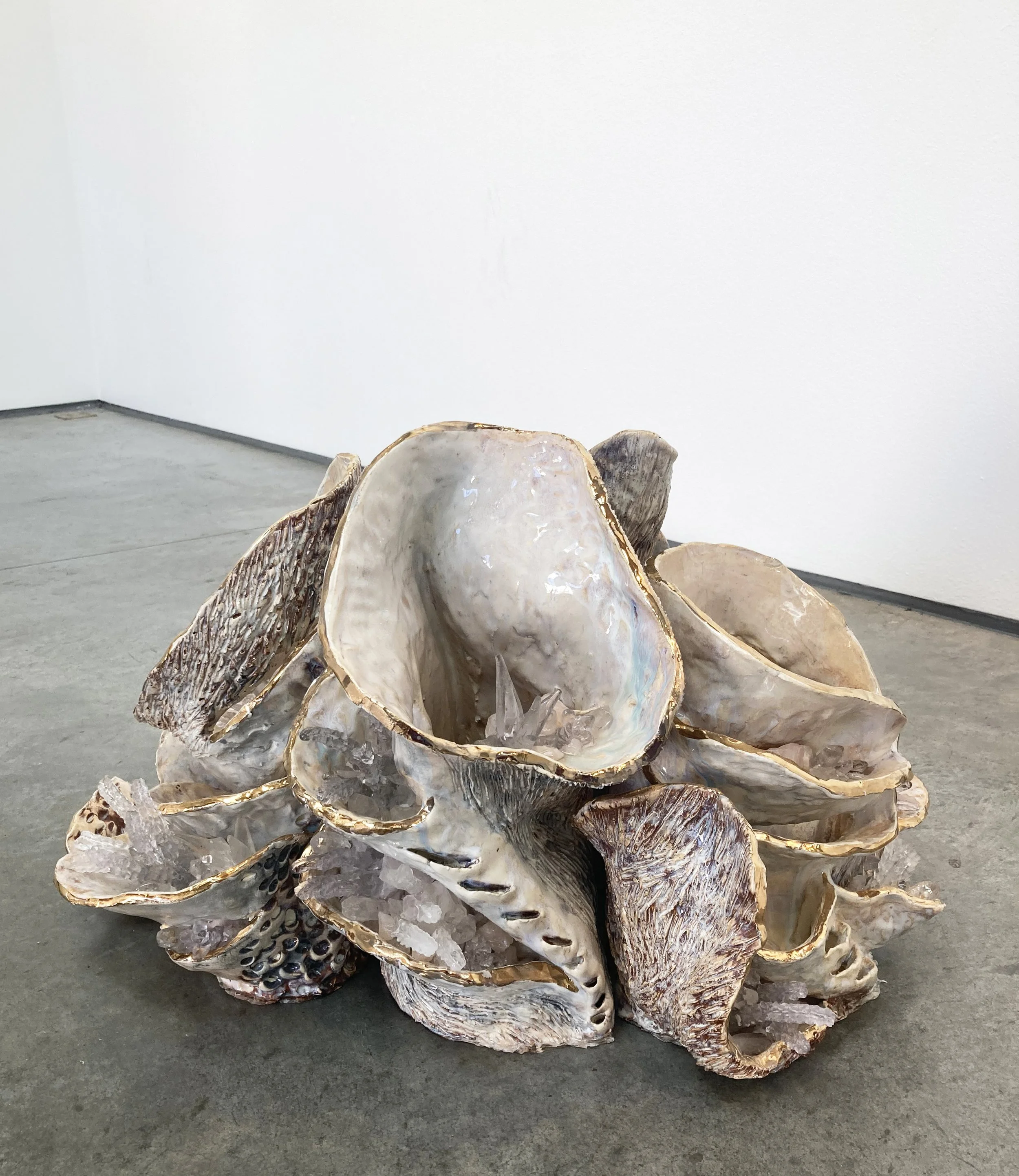 We Need A Forest Fire