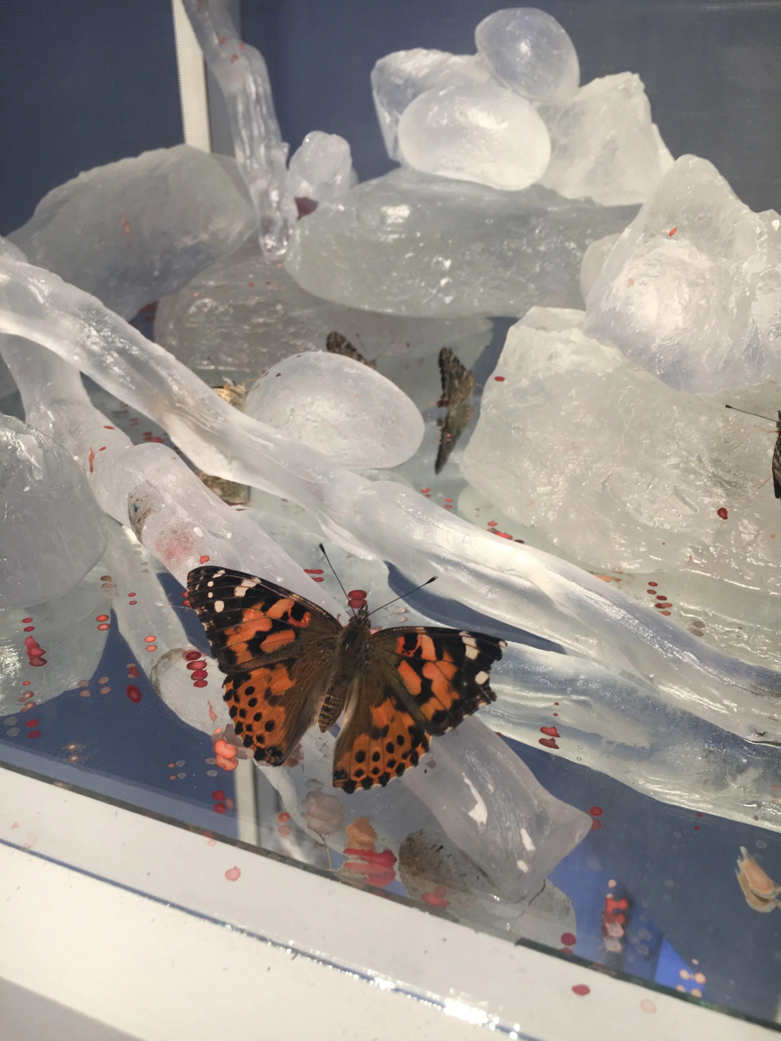 6.Release detail.JPG