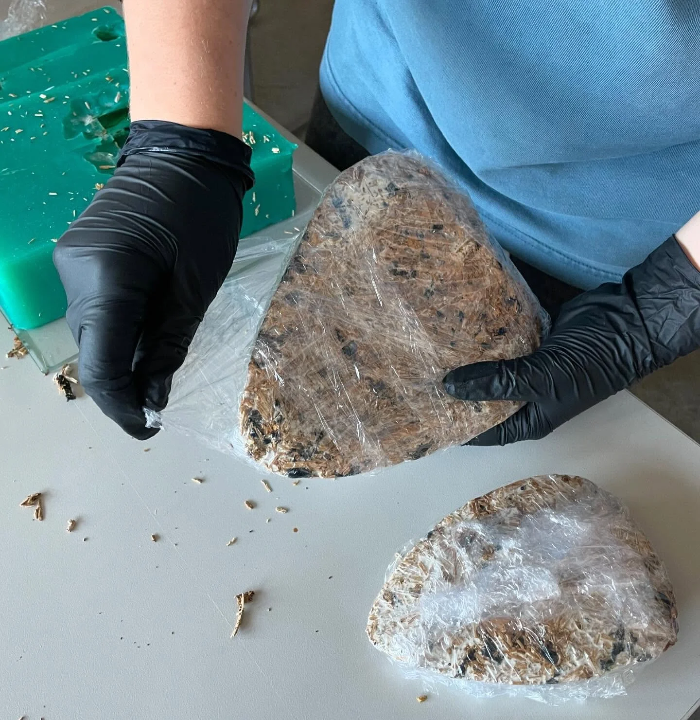 Growing mycelium from scratch was not something I thought I&rsquo;d ever be doing but what an incredible learning experience.
Some snapshots of the process!