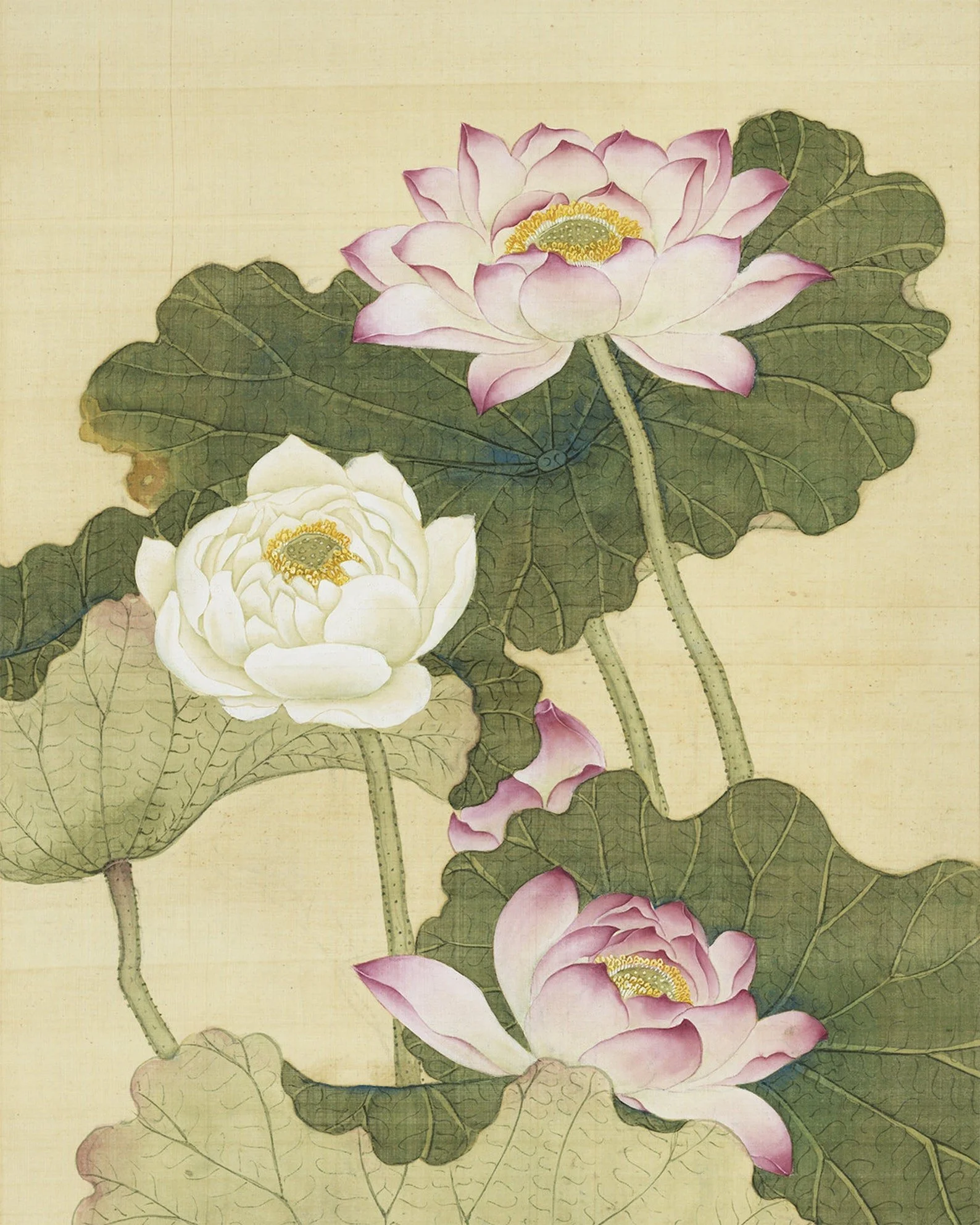 Meditation