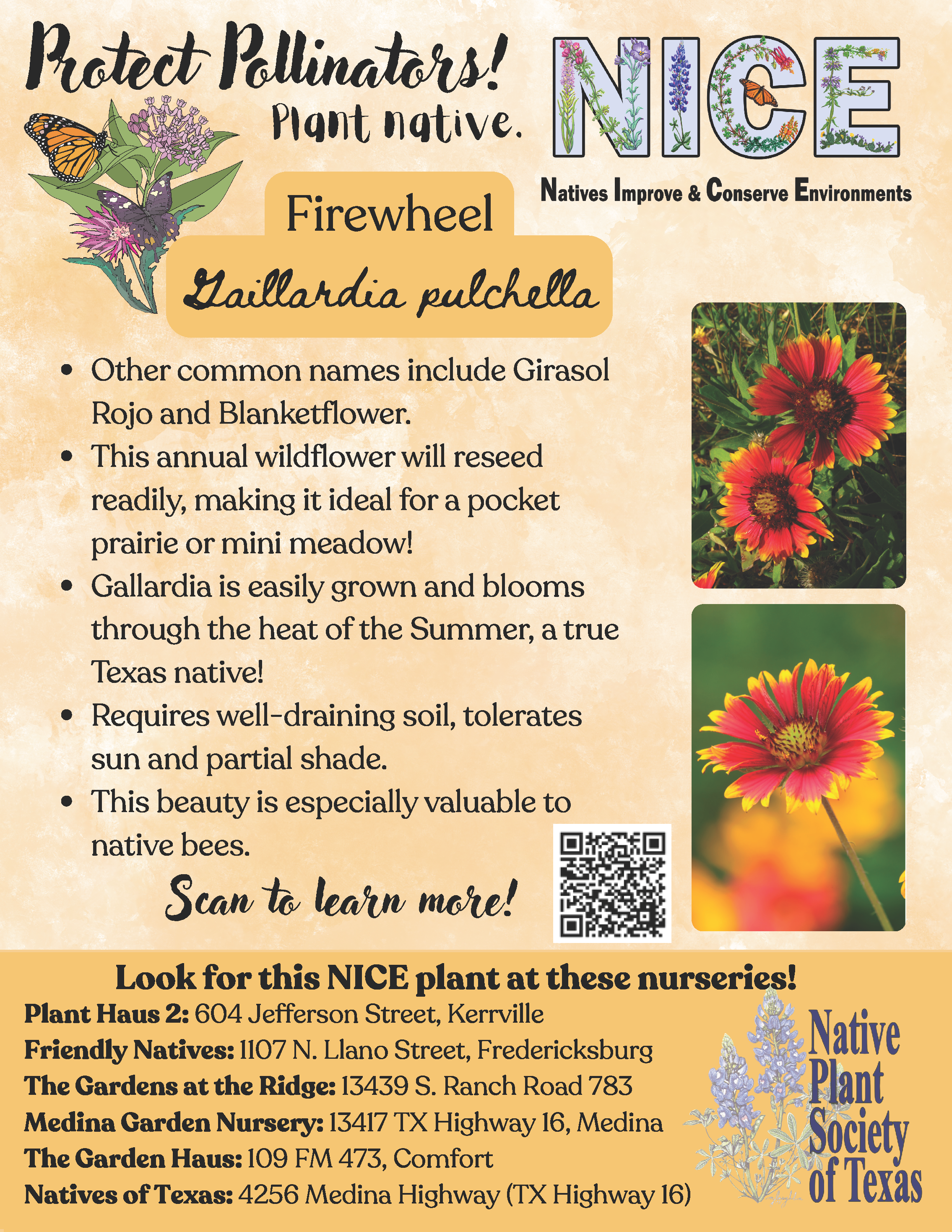 A promotional flyer encouraging native planting to protect pollinators. The flyer features colorful illustrations of butterflies and native flowers, including a purple loosestrife and a gaillardia with red and yellow petals. It includes the message '