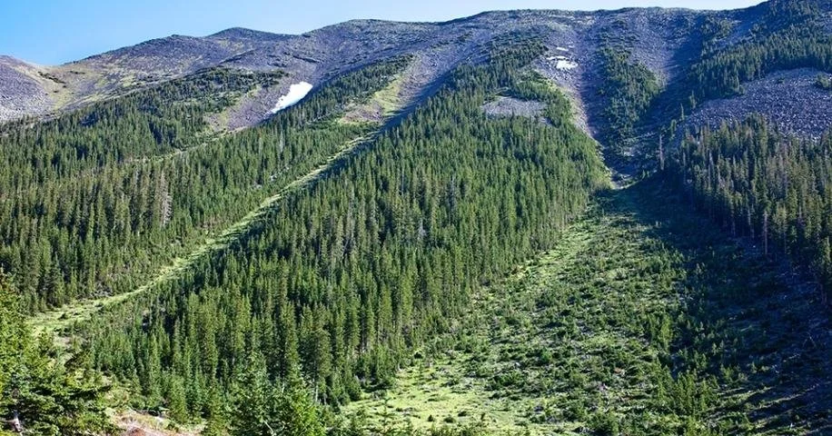 Abineau Bear Jaw Loop