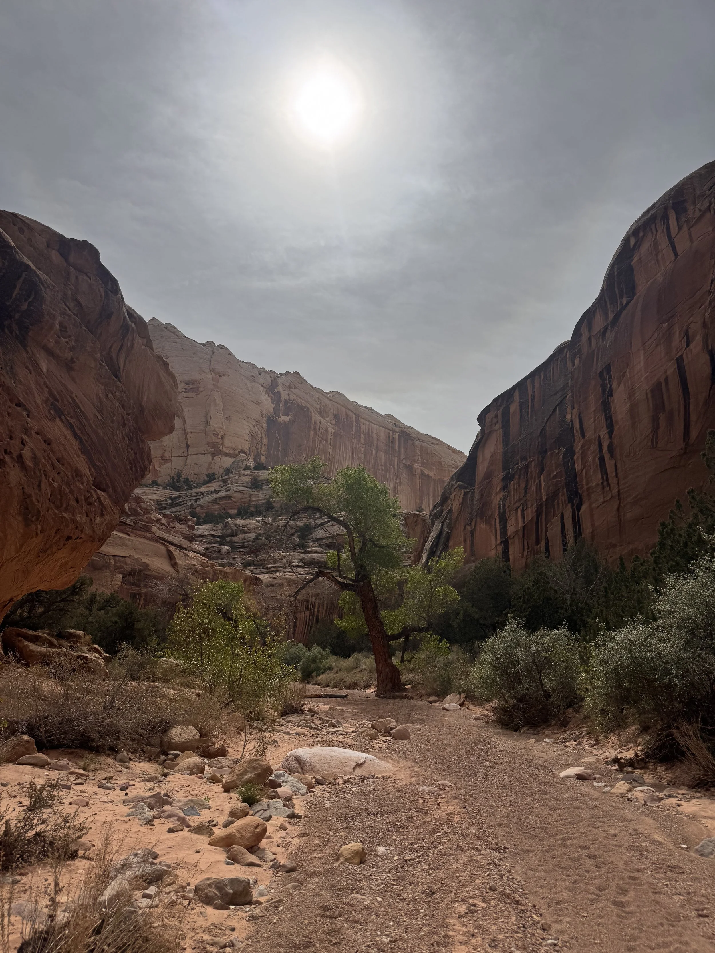 Capitol Reef National Park