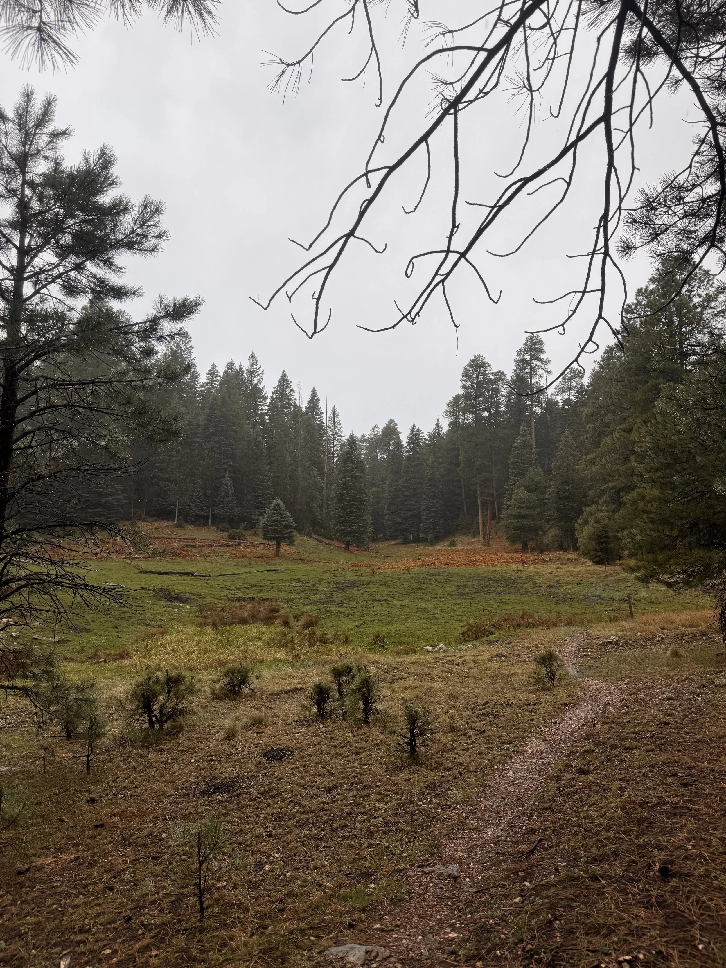 Cabin Loop trail in Payson, AZ