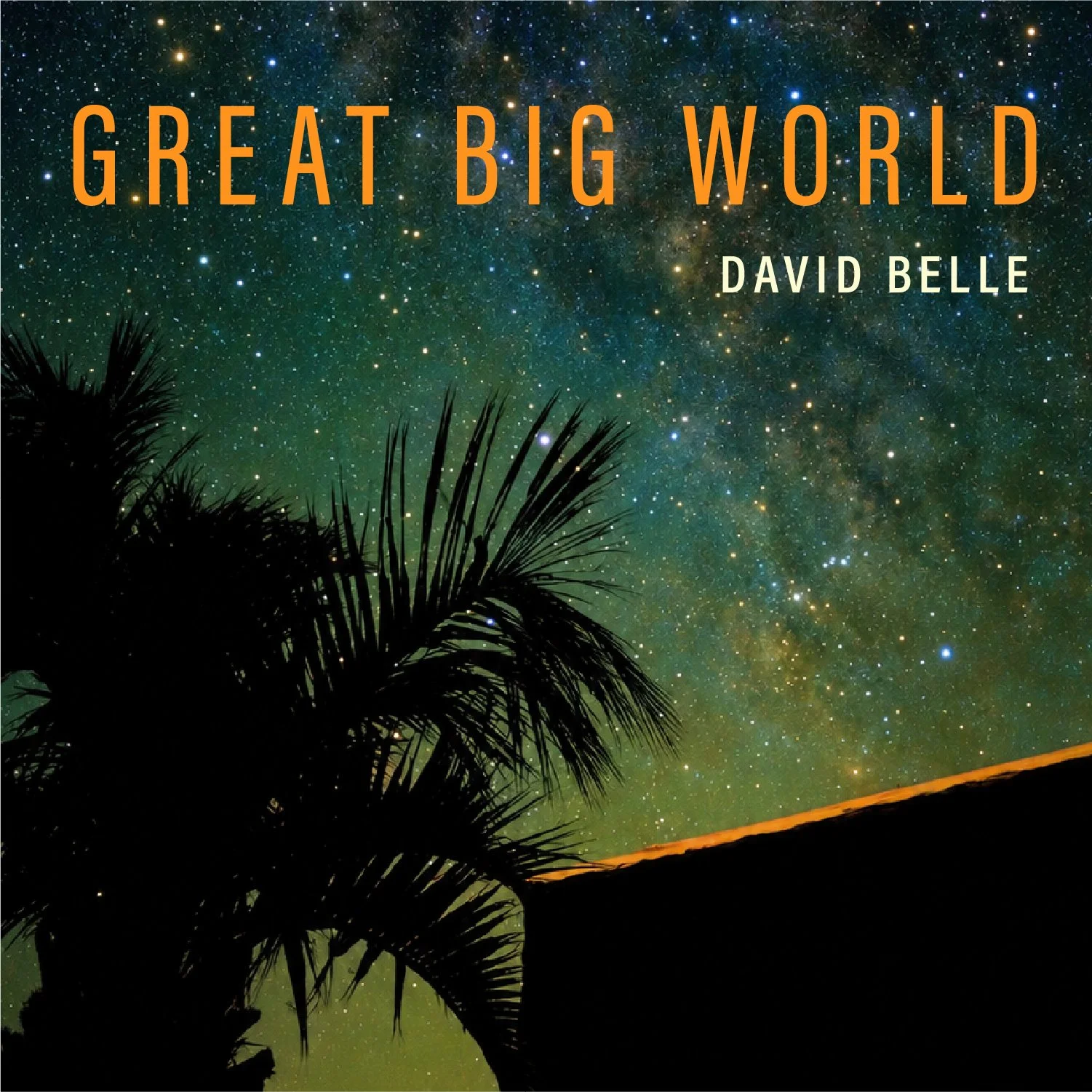 GREAT BIG WORLD BY DAVID BELLE
