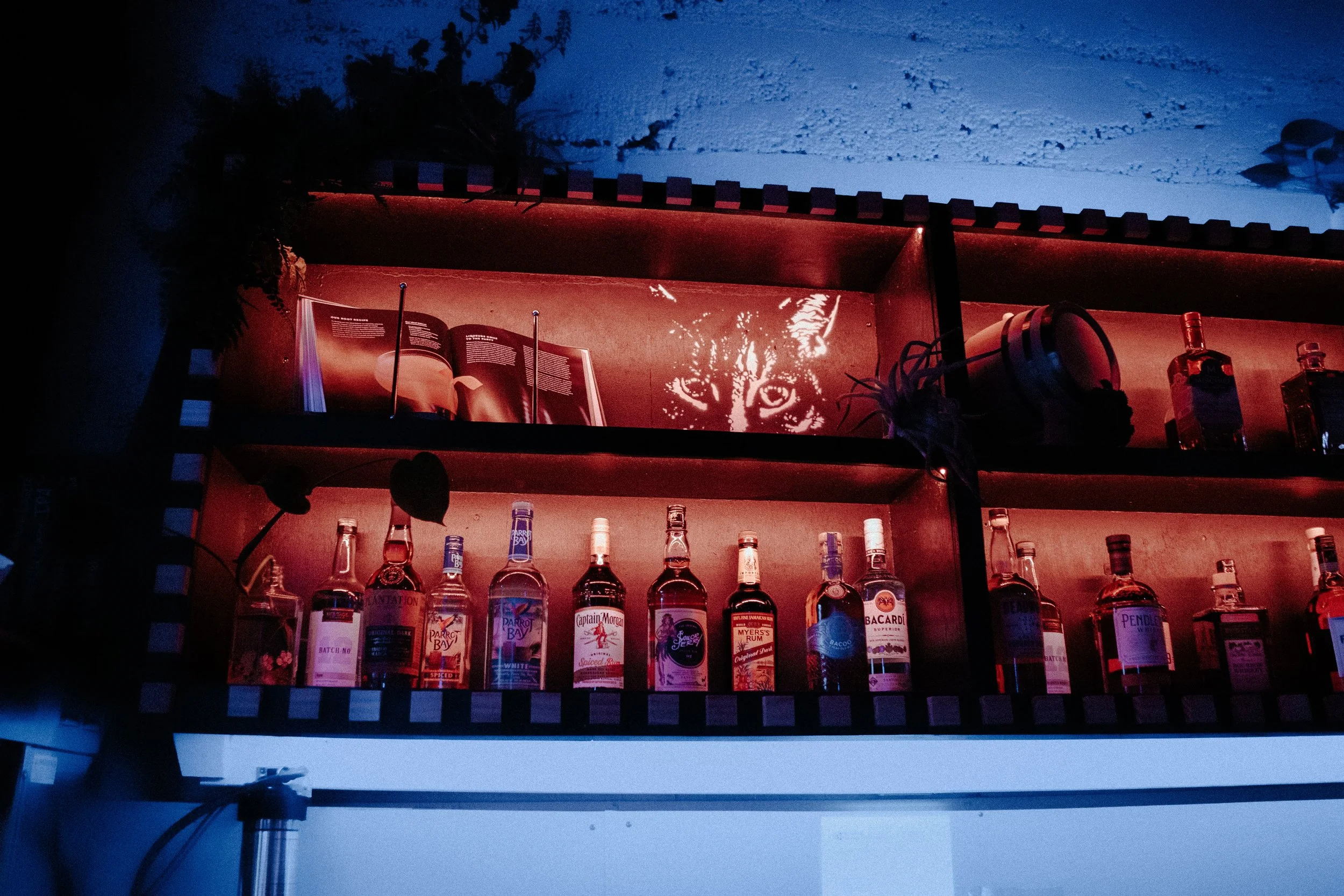 A bar shelf with various liquor bottles including Captain Morgan and Bacardi, a book with cat artwork, some plants, and miscellaneous items on the shelf.