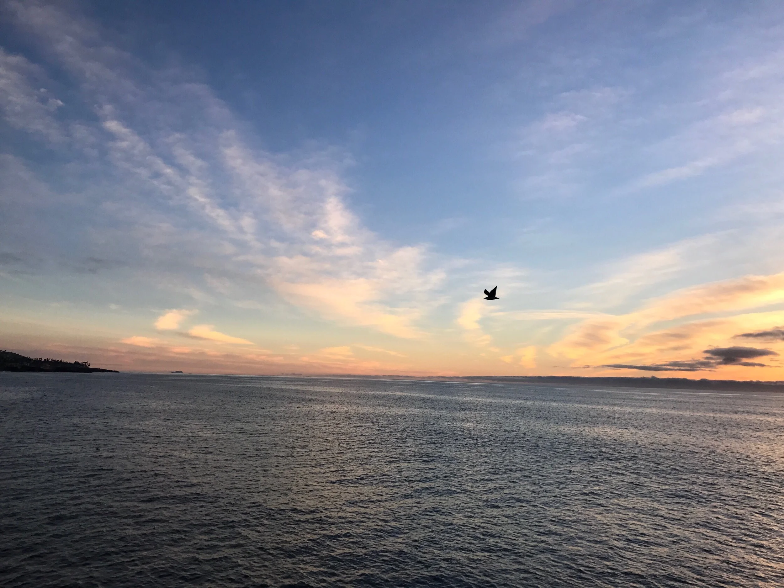 A serene view of the ocean with a colorful sky at sunset or sunrise, and a bird flying in the distance.