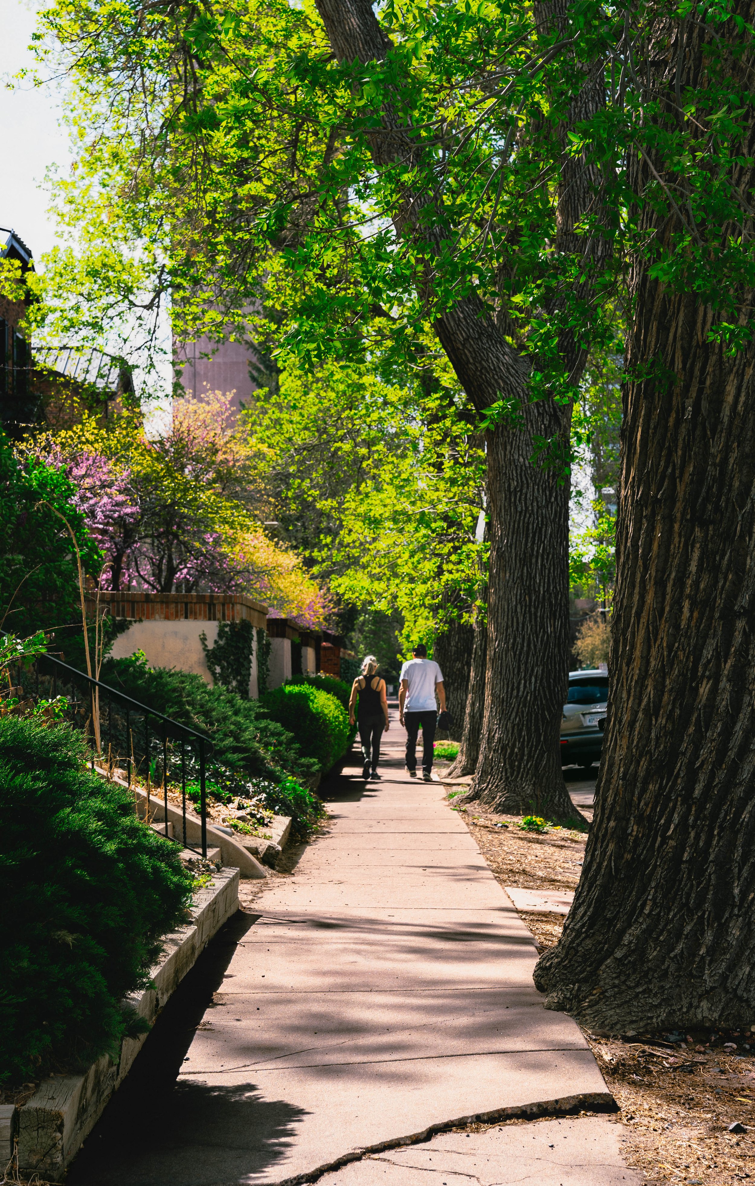 Denver_4-2026-7.jpg