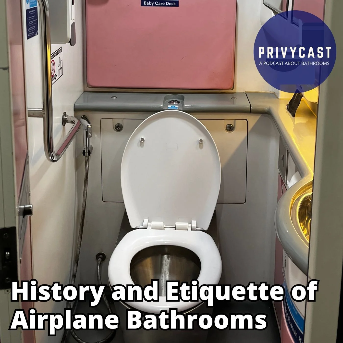 Ep. 46: The History and Etiquette of Airplane Bathrooms