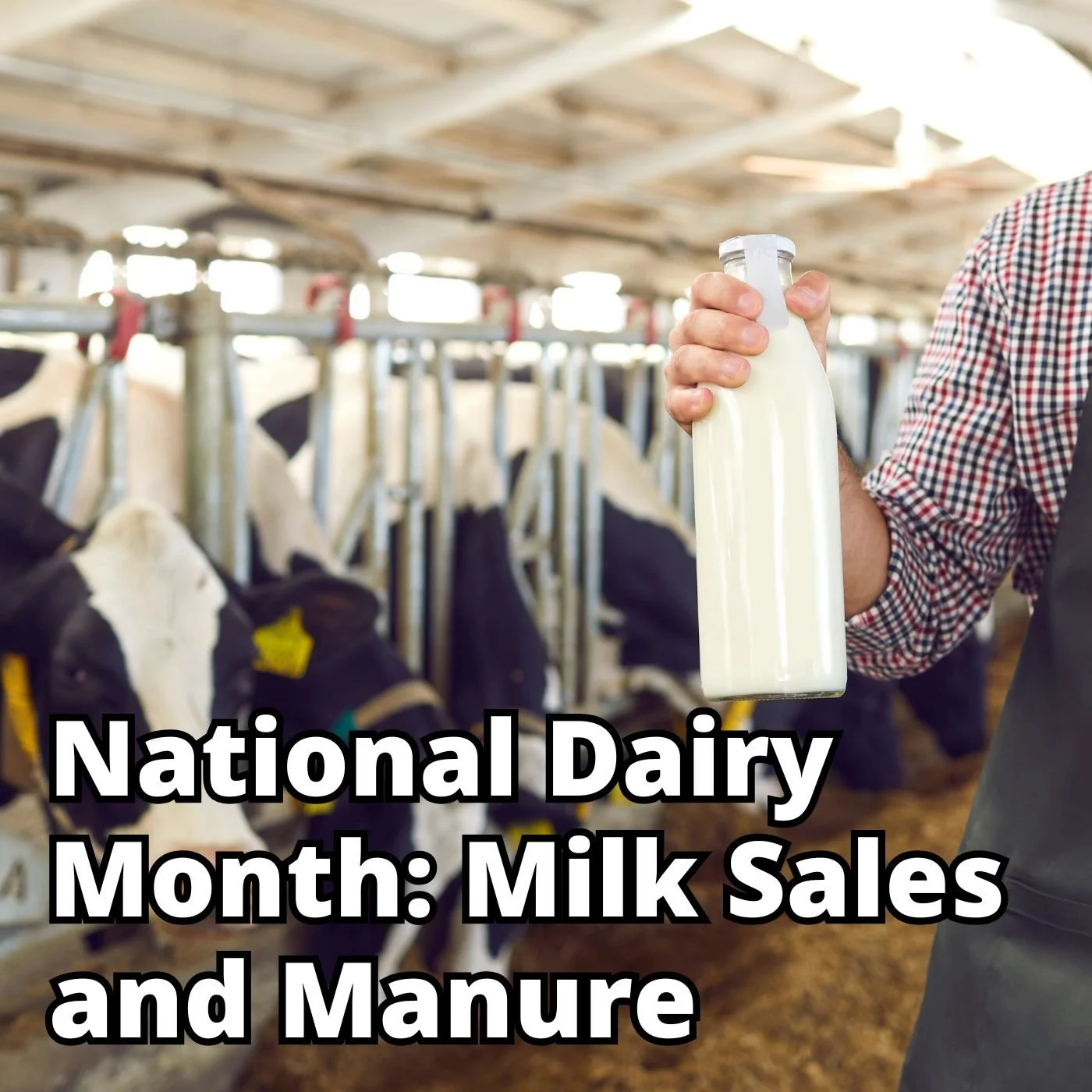 Ep 205: National Dairy Month - Milk Sales and Manure