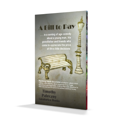 Bill to Pay-3d-back cover.png