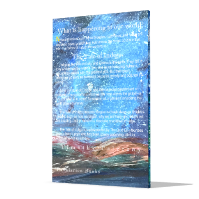 Indigo-back-3d-book.png