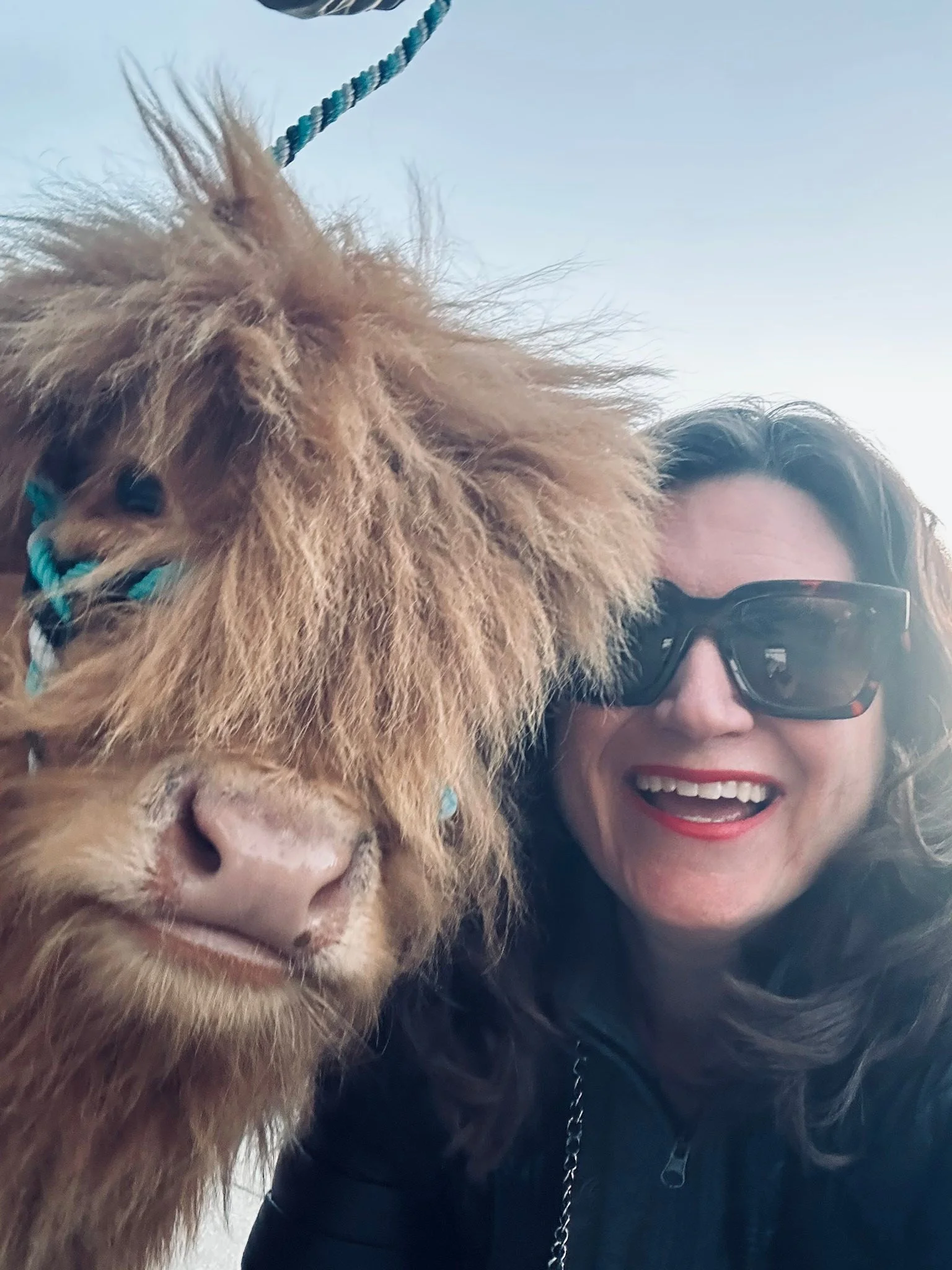 Thank you to everyone who took a moment to wish me a happy birthday! I hugged a mini cow (thanks, Dee Levang), enjoyed a fabulous dinner at Idol Wolf inside 21c Museum Hotel St. Louis (thanks, Tim Meehan), and overall had a fab day!