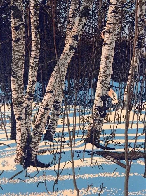 imgi_9_White_Birch_Shadows_astzr2.jpg
