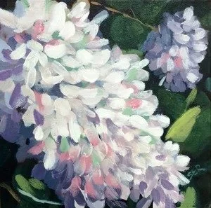 imgi_2_Hydrangea.jpg