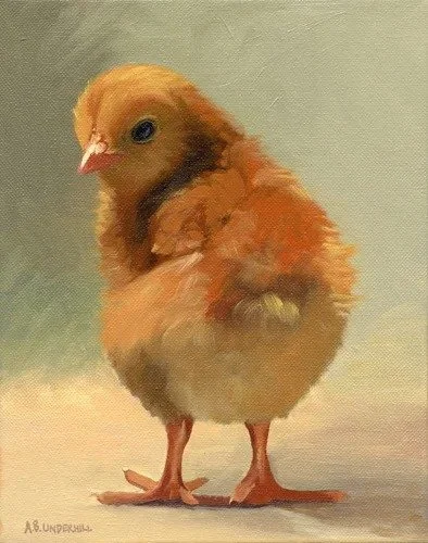 imgi_46_shychickstudy.jpg