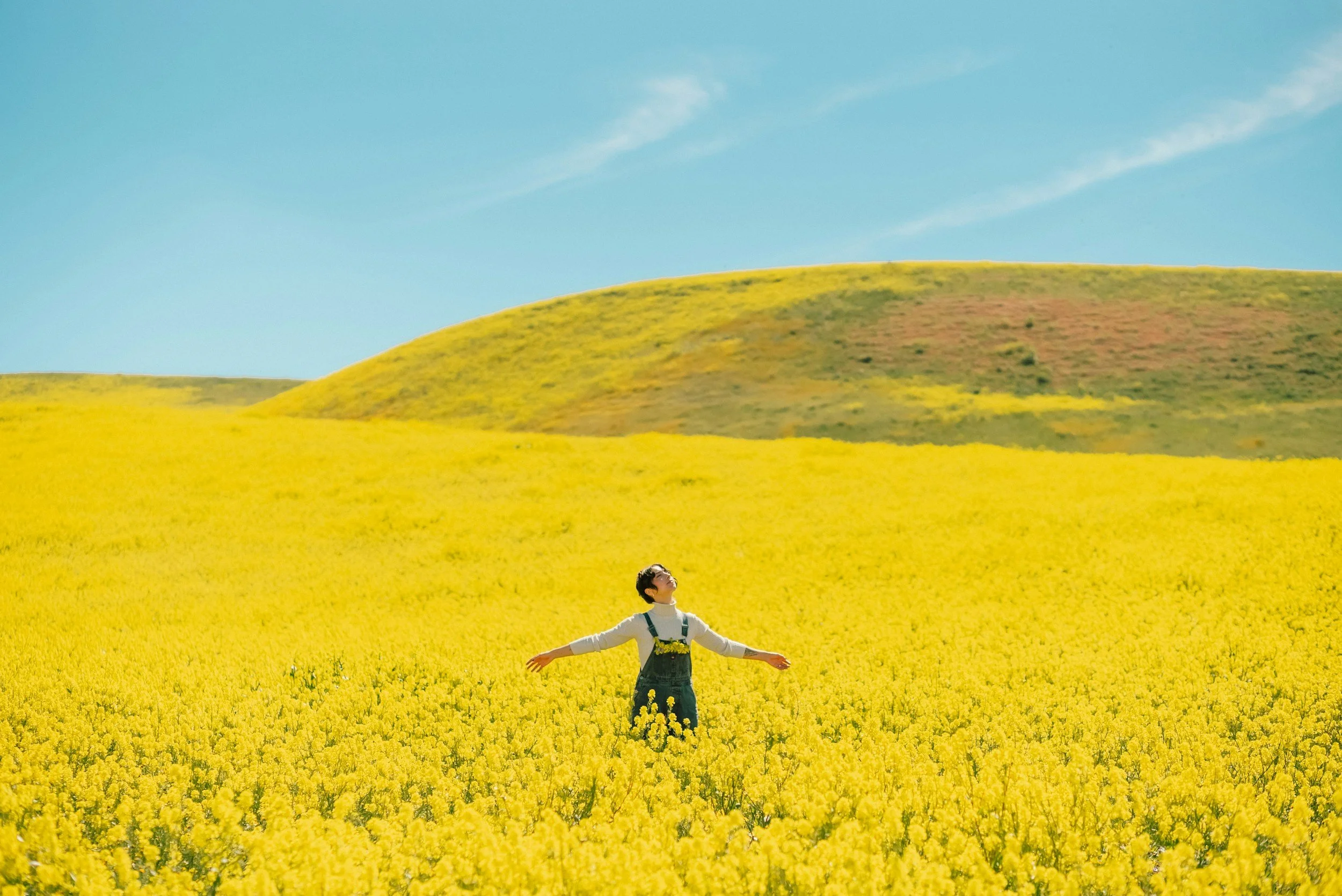 Becoming Secure: What Every Attachment Style Must Learn