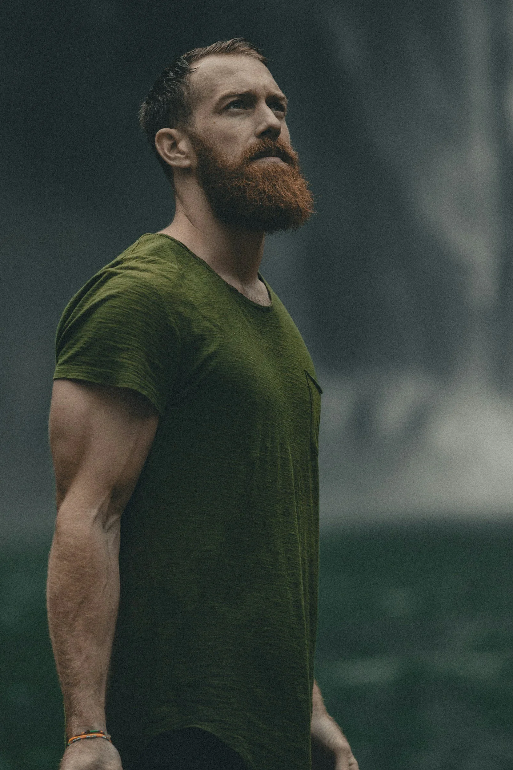 Don’t Shrink Back: A Christian Guide for Men to Lead with Courage in Weakness