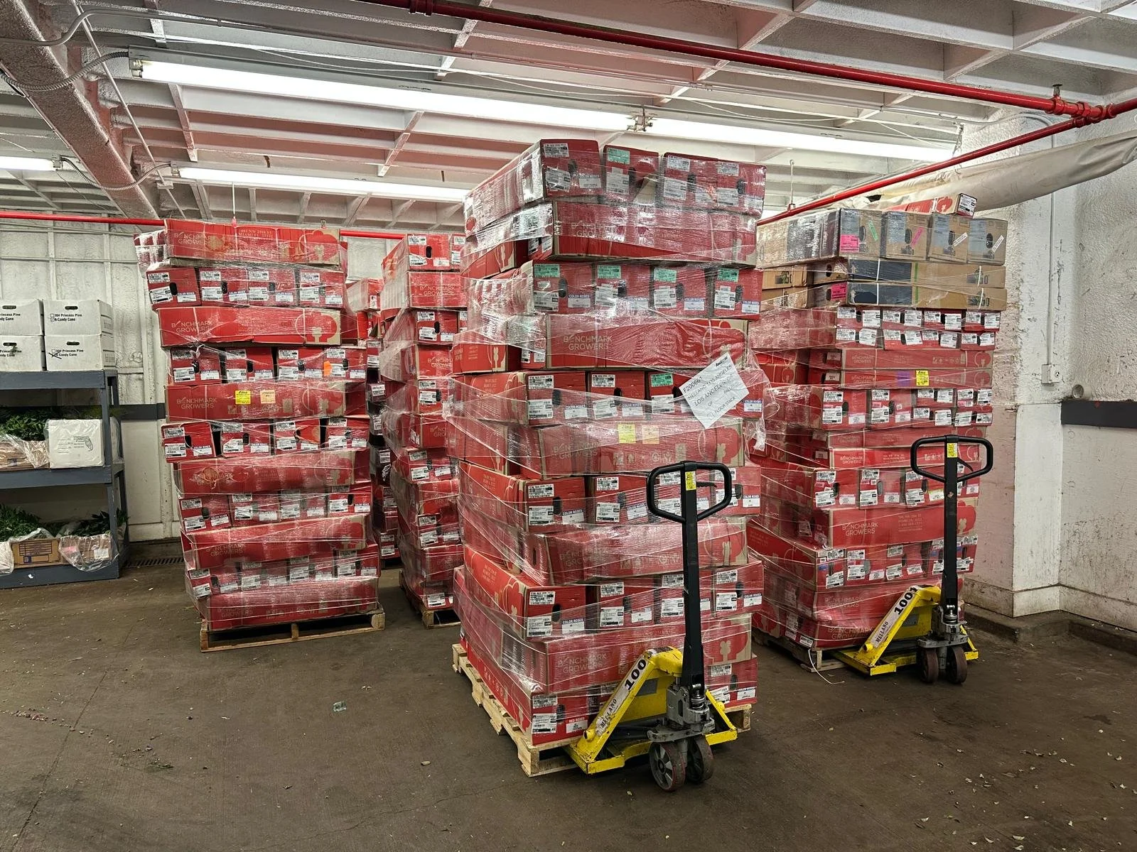 WhatsApp Image 2024-12-22 at 10.01.29 PM.jpeg