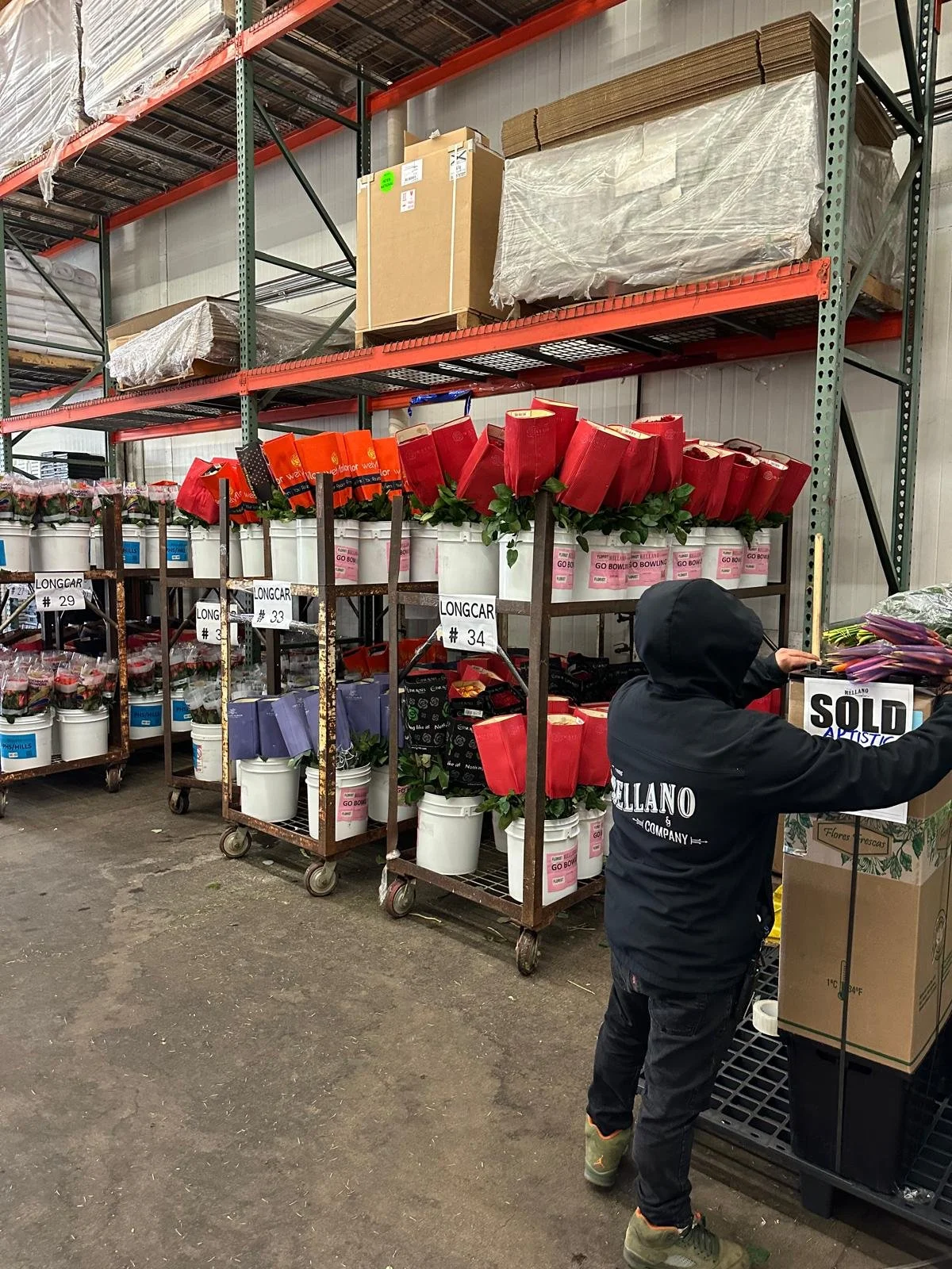 WhatsApp Image 2024-12-28 at 1.49.46 PM (2).jpeg