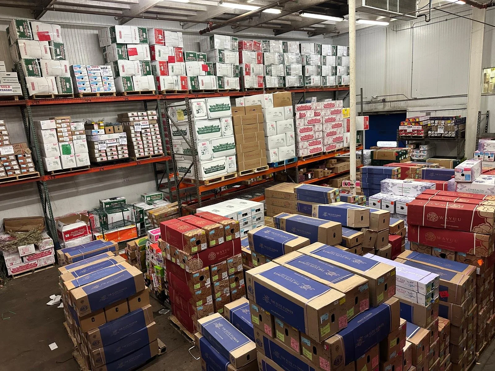 WhatsApp Image 2024-12-23 at 4.27.07 AM.jpeg