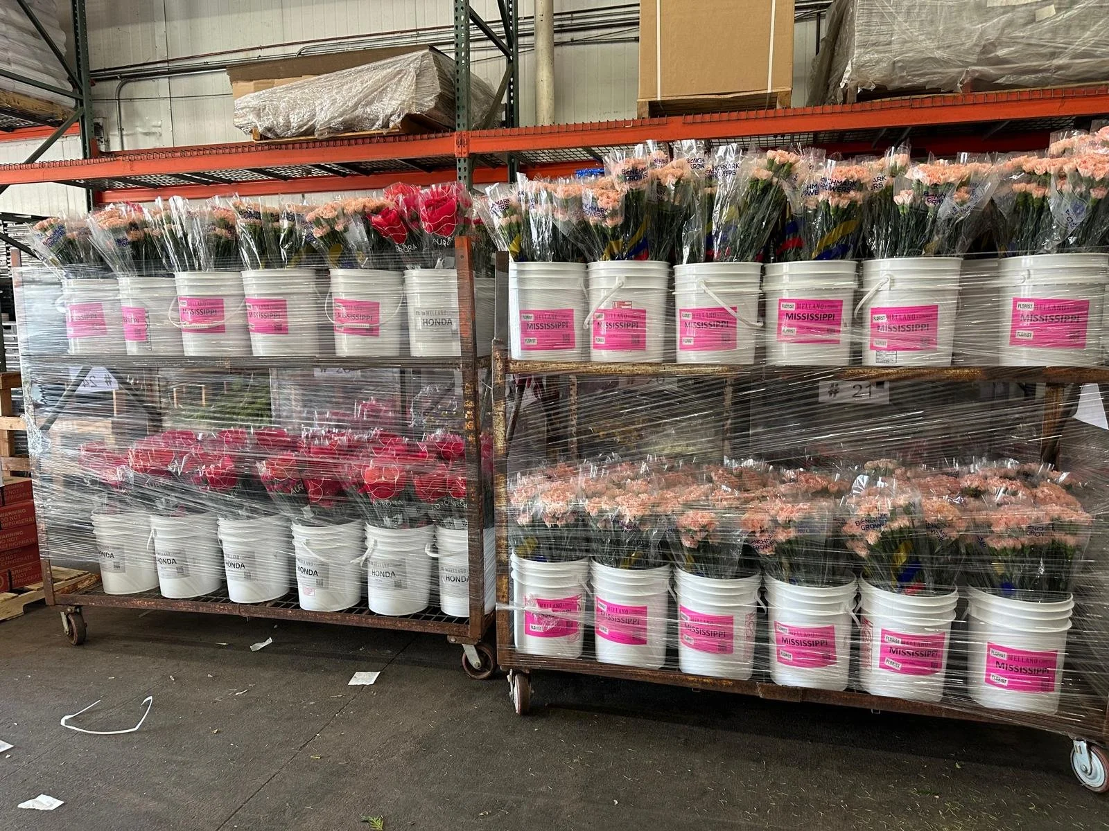 WhatsApp Image 2024-12-28 at 1.49.45 PM.jpeg