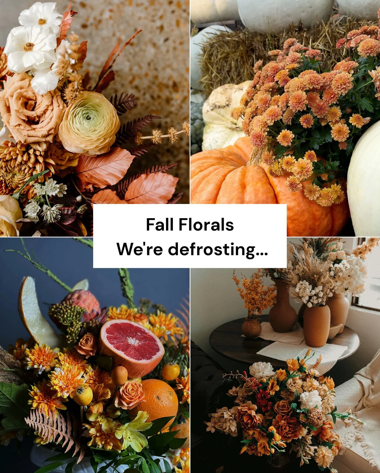 Everyone&rsquo;s talking about their fall shows + movies to defrost&hellip; and here&rsquo;s what we&rsquo;re defrosting at The Original LA Flower Market 🍂💐

🎃 Pumpkin tablescapes
🌼 Marigold garlands
🌺 Rusty dahlias
🌿 Eucalyptus everything
💛 M