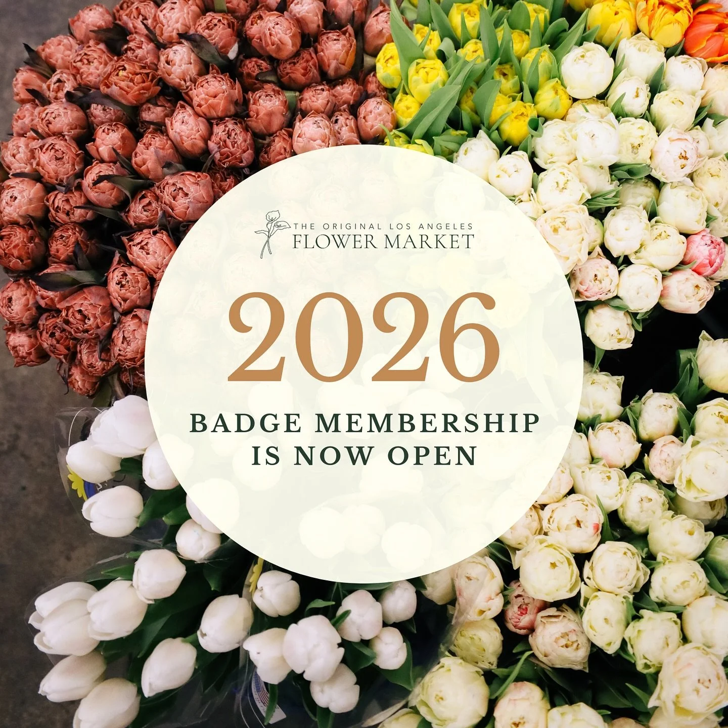 2026 Badge Memberships are now open!
Renew or apply today to keep your access active through January 1, 2027.

Skip the lines, shop early, and stay part of the Flower Market community.
As the holidays get closer, avoid the last-minute rush, it only t