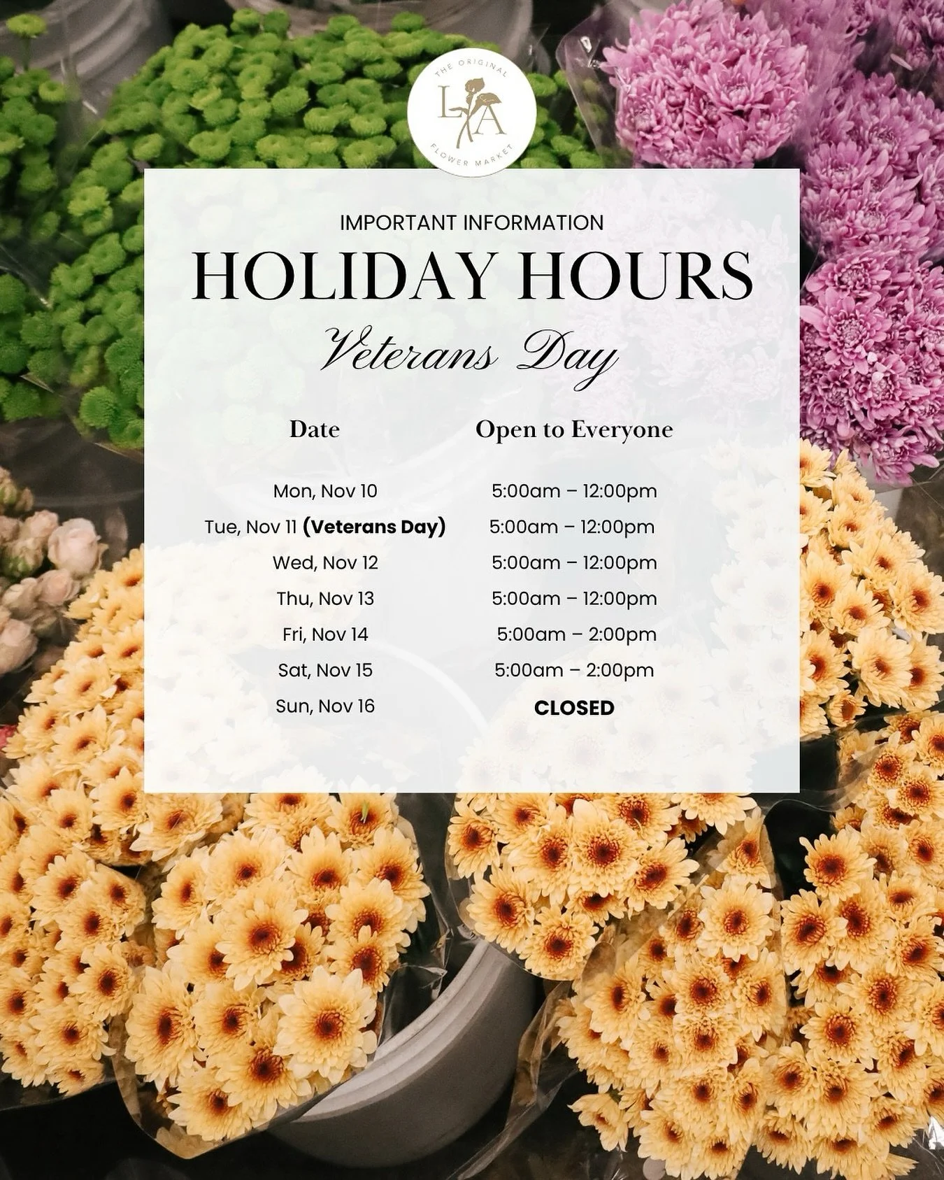 Yes! We&rsquo;re OPEN this Veterans Day 🇺🇸
Come by early, grab your favorite blooms, and show your appreciation with flowers that honor those who&rsquo;ve served. 🌹

Market Week Schedule - Open to Everyone (Both Public and Trade)
Mon, Nov 10 &mdas
