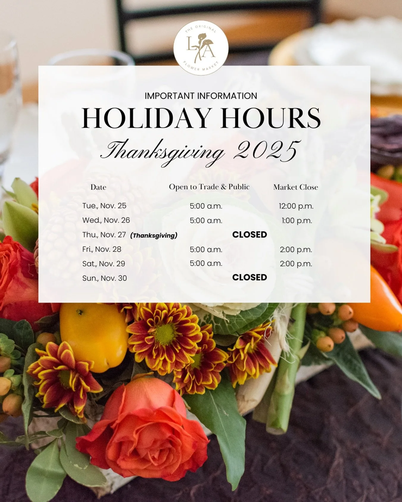Spend your Thanksgiving break roaming the halls of thousands of flowers! Reminder, we are open to the public all hours of everyday! Check out our holiday hour below! 

📅 Open to Everyone (Public + Trade)
Tue., Nov. 25 &mdash; 5:00am&ndash;12:00pm
We