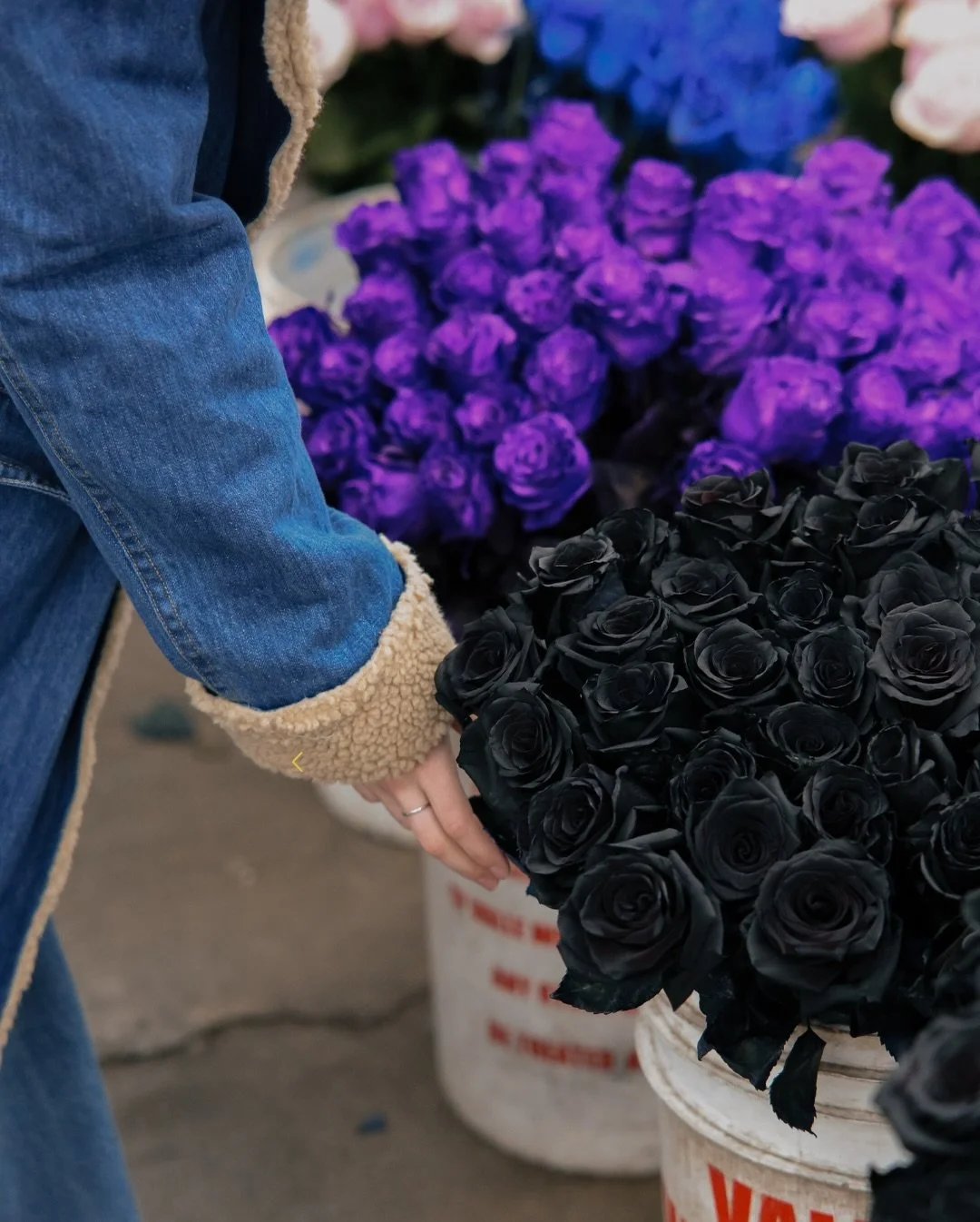 Most people buy roses wrong. 🌹
Here&rsquo;s how to spot fresh, long-lasting roses like a pro this Valentine&rsquo;s Day:

✔️ Check the stems &amp; leaves &mdash; bright green + sturdy = healthy
✔️ Look at the buds &mdash; tighter buds open at home a