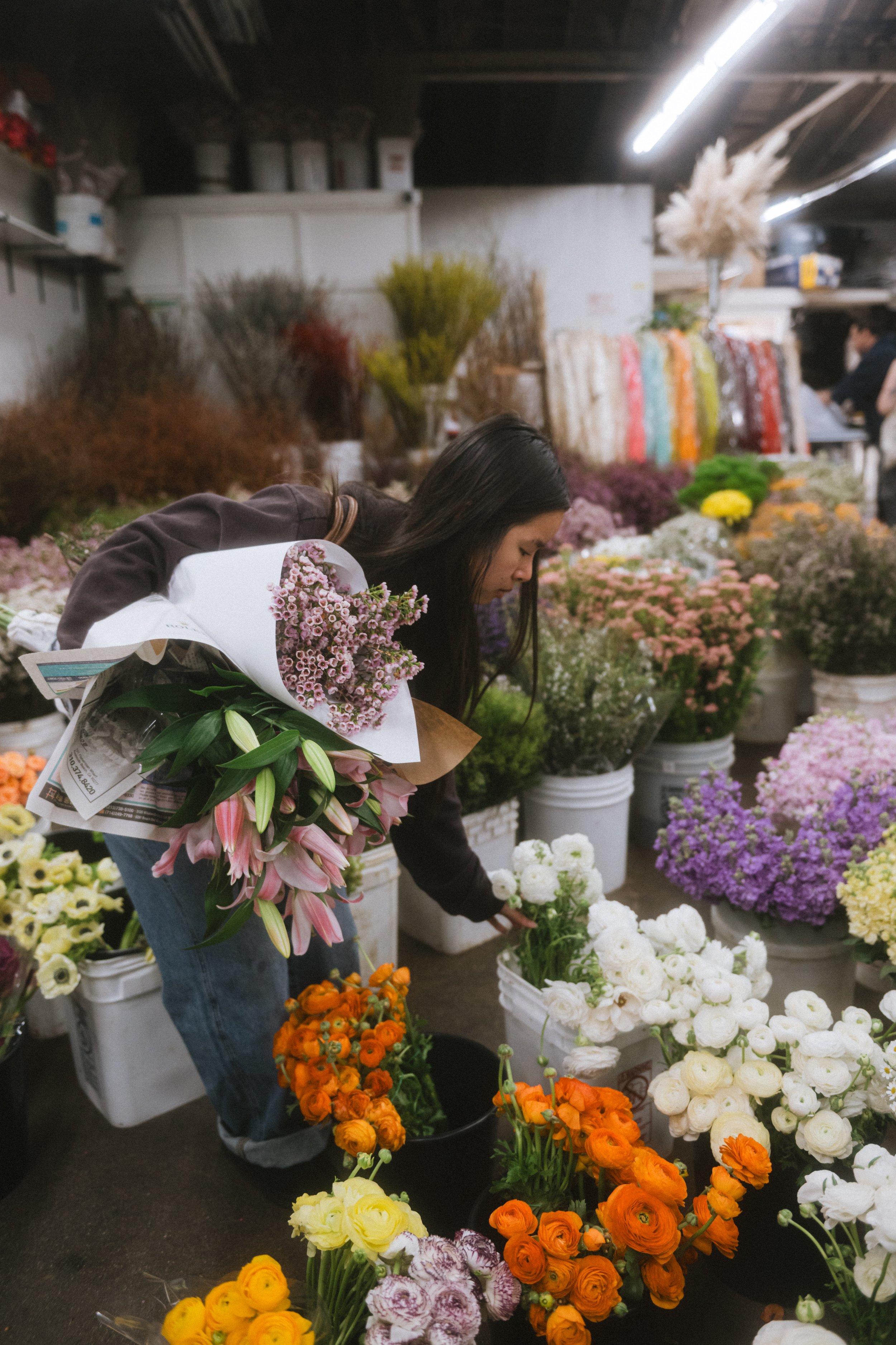 TaliaClaire-feb13-DSC_8042-4 (2).jpg