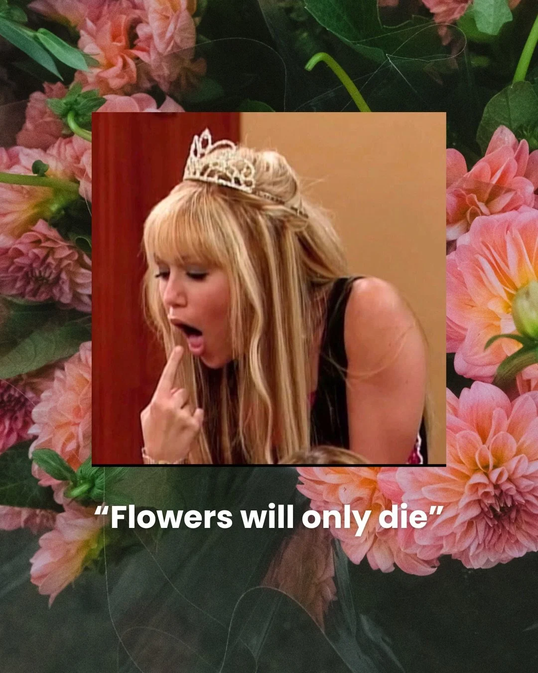 Hannah Montana mood 😌✨

Hannah Montana, Flower lovers, LA Florist, LA Flower Market