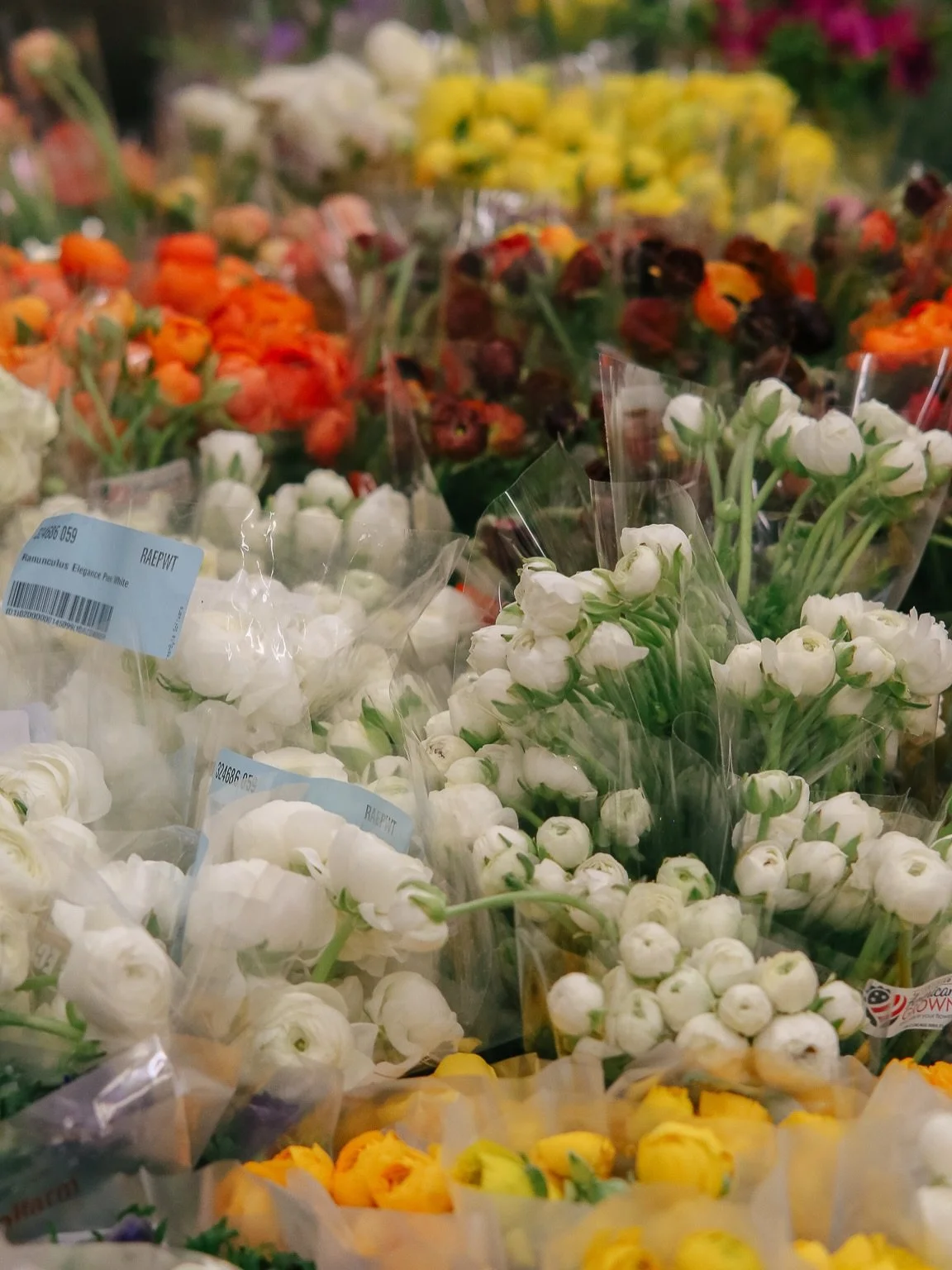 Ranunculus season really said&hellip; I&rsquo;m here. We&rsquo;ve been seeing them come in all week and 👀 the colors, the layers, the way they&rsquo;re opening&hellip; it&rsquo;s that time.

A lot of these are coming in farm-direct from California g