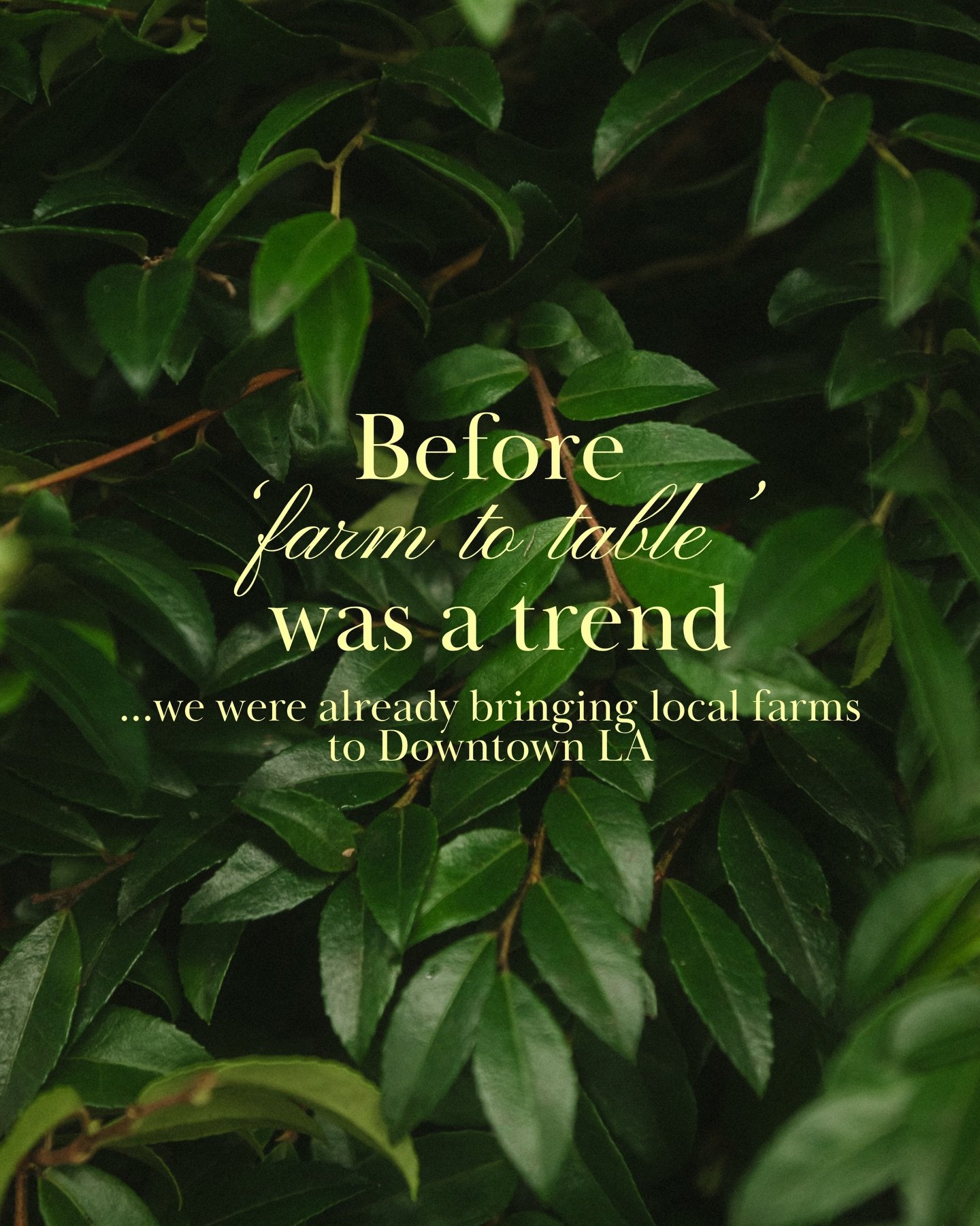 Before &ldquo;farm to table&rdquo; was a trend... we were already bringing local farms to Downtown LA.

For over 100 years, the Original Los Angeles Flower Market has been home to 35+ family-owned vendors, connecting California&rsquo;s flower farms t