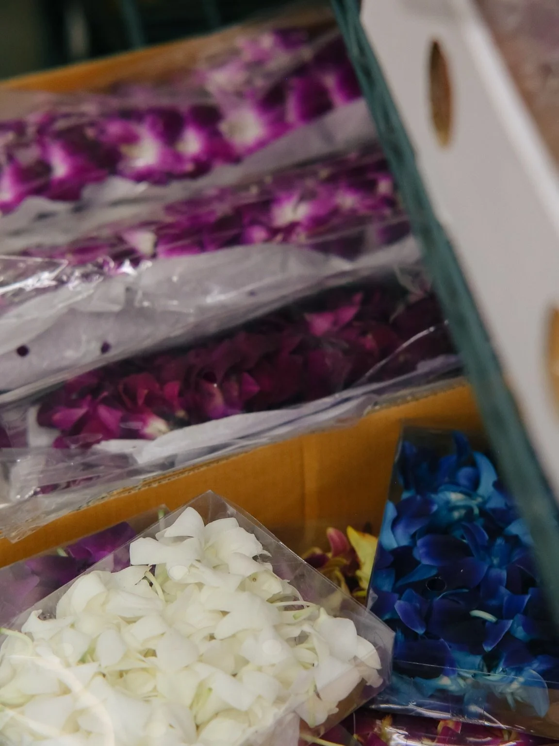 Graduation season is here, and the market is ready.

Whether you&rsquo;re a florist taking on lei orders or a parent picking up something special for your grad, here&rsquo;s what&rsquo;s in season and ready to shop at OLAFM. From classic lei blooms t