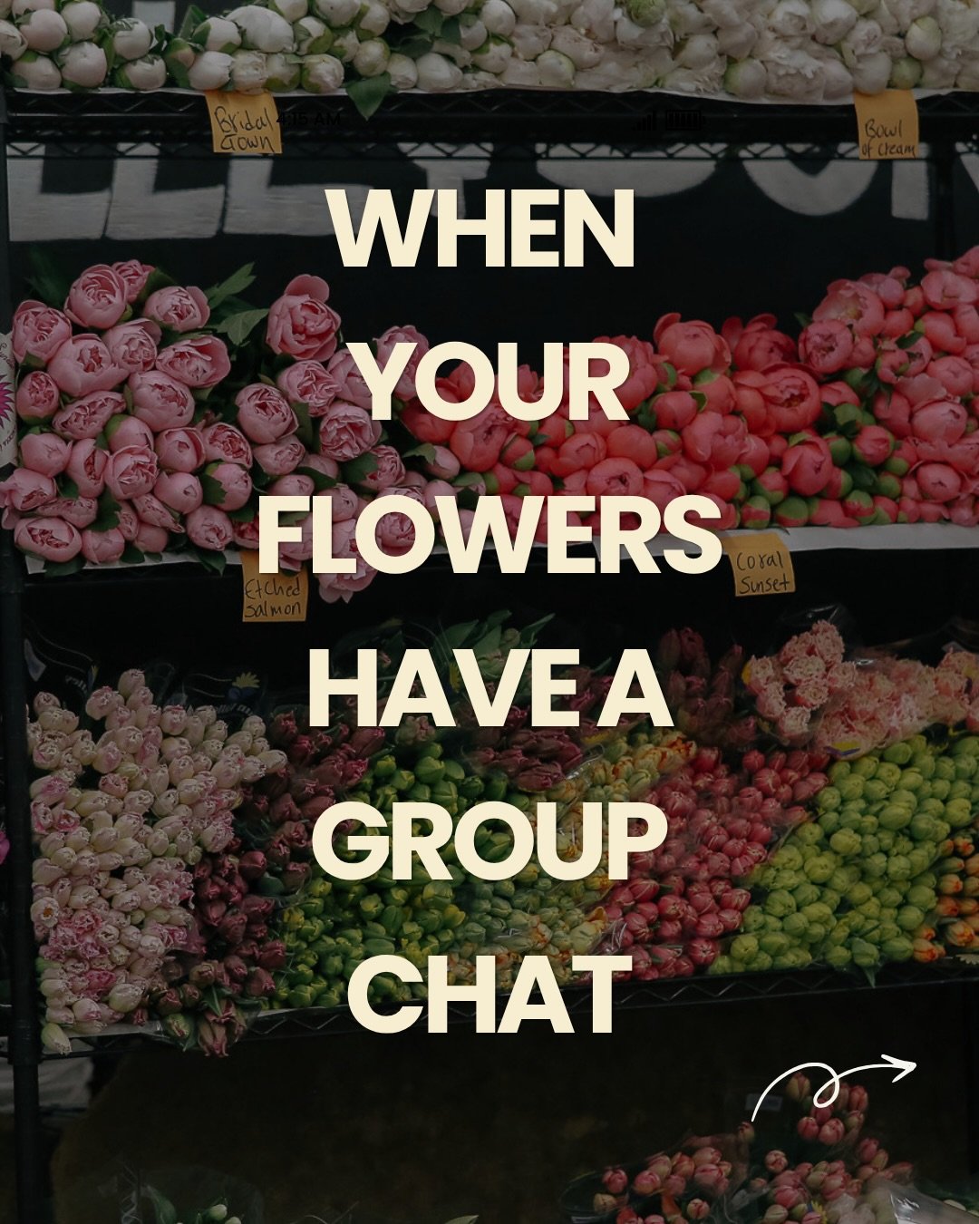 When your flowers have a group chat... and Peony makes it about herself (again). Comment the flower you relate to most.

LA Flower Market, LA Flower District, wholesale flowers, florist humor, flower memes, florist life, summer flowers, Los Angeles f
