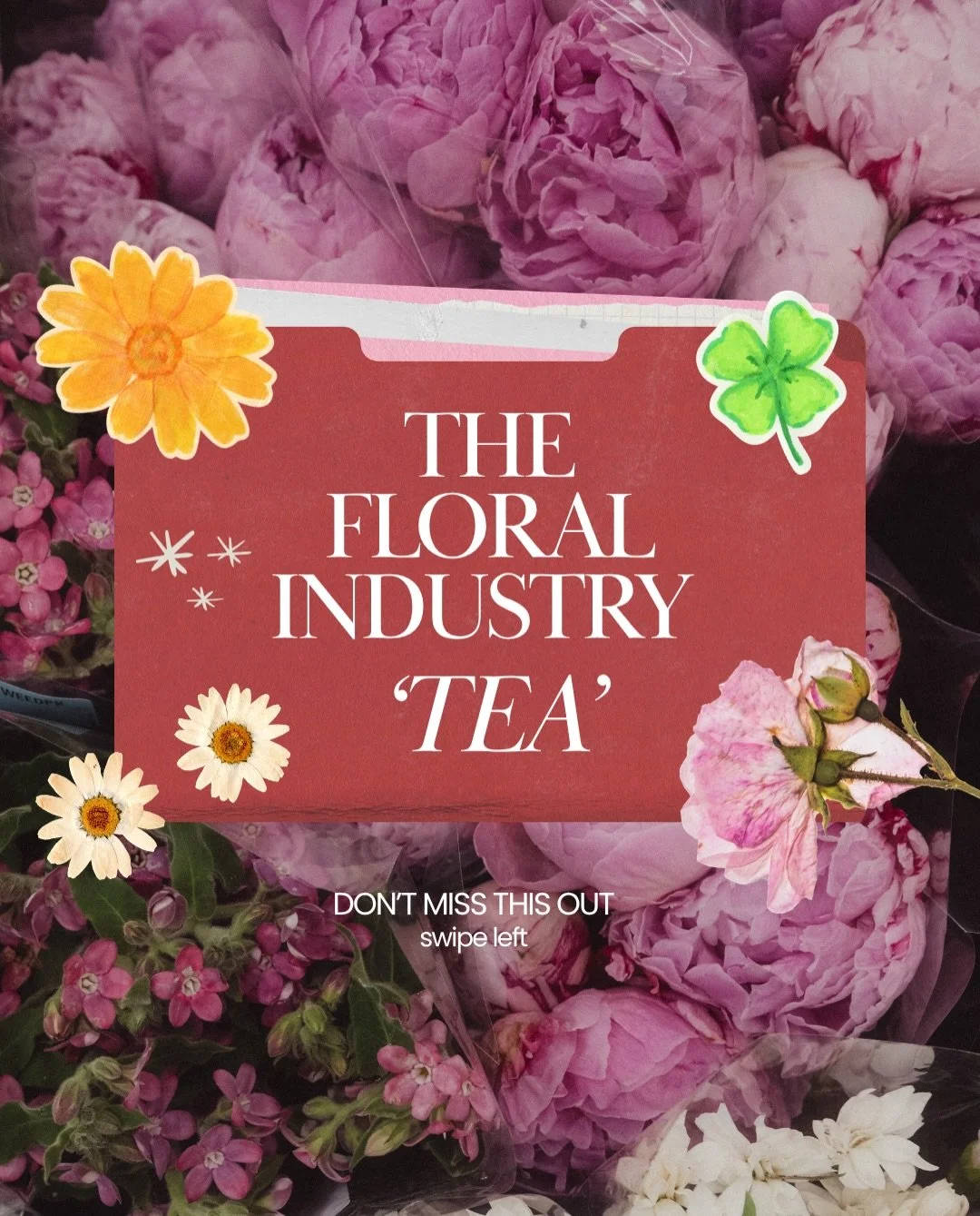 The floral industry tea, served fresh ☕✨
A roundup of wins, features, and moments worth celebrating from across our community and the broader floral world this month:

1. New Vendor Alert! Welcome @paradiseblooms_la to Stall #16, your one-stop wholes